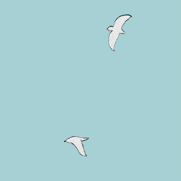 Birds.gif