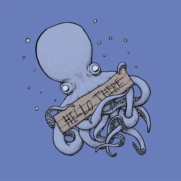 friendly octopus.jpg