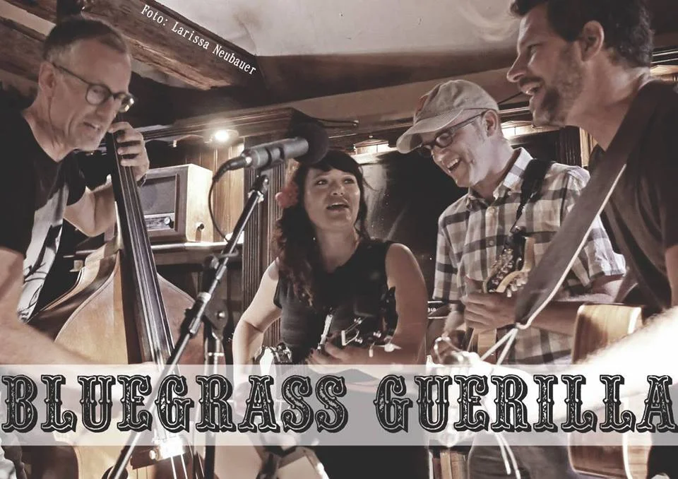 BLUEGRASS GUERILLA & VILLWOCK BROTHERS - Concert Sat. November 17th, 2018