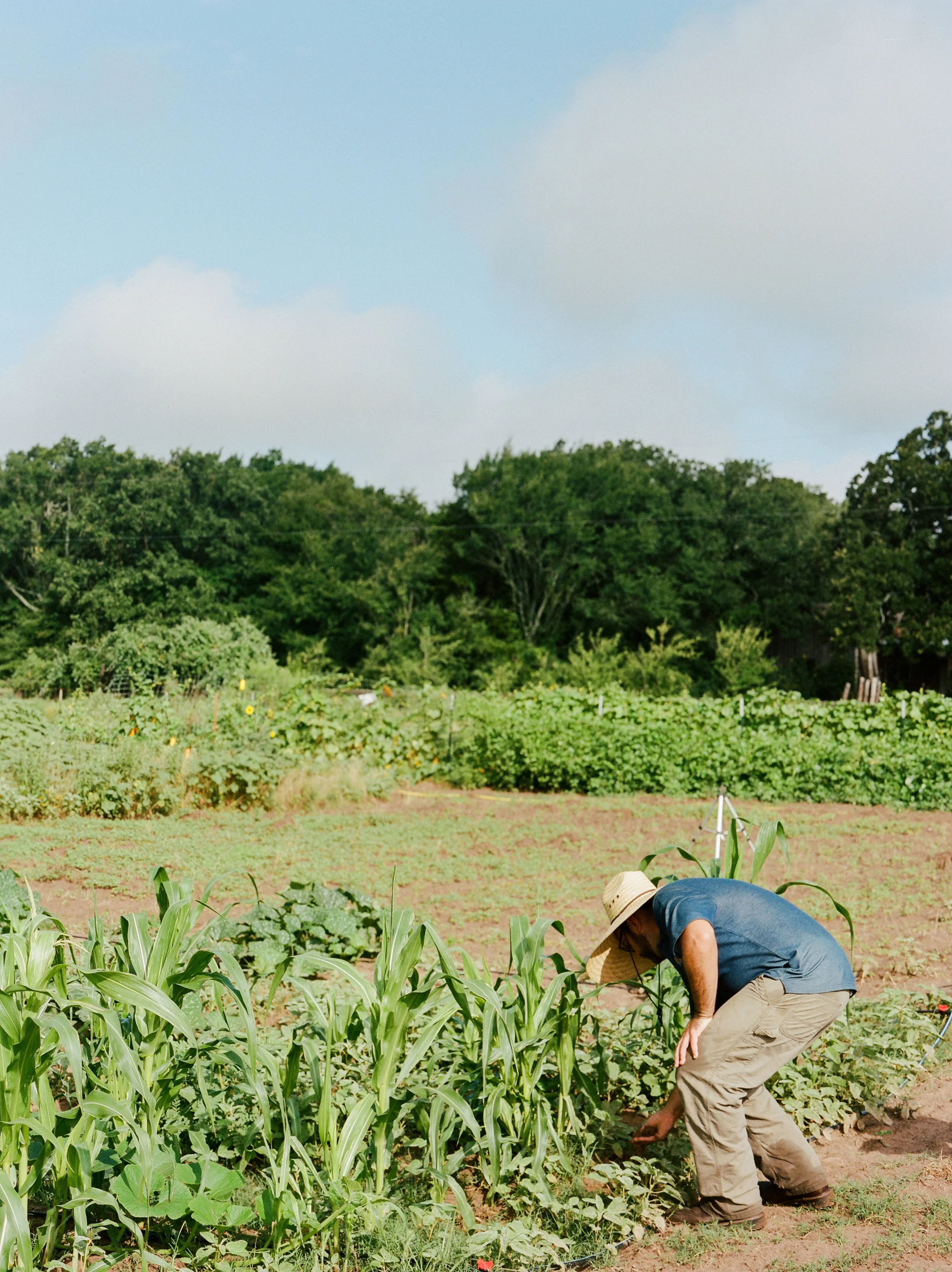 Ronin_Farm025.jpg