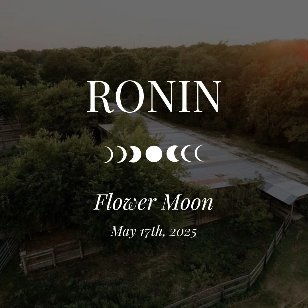 Flower Moon Dinner