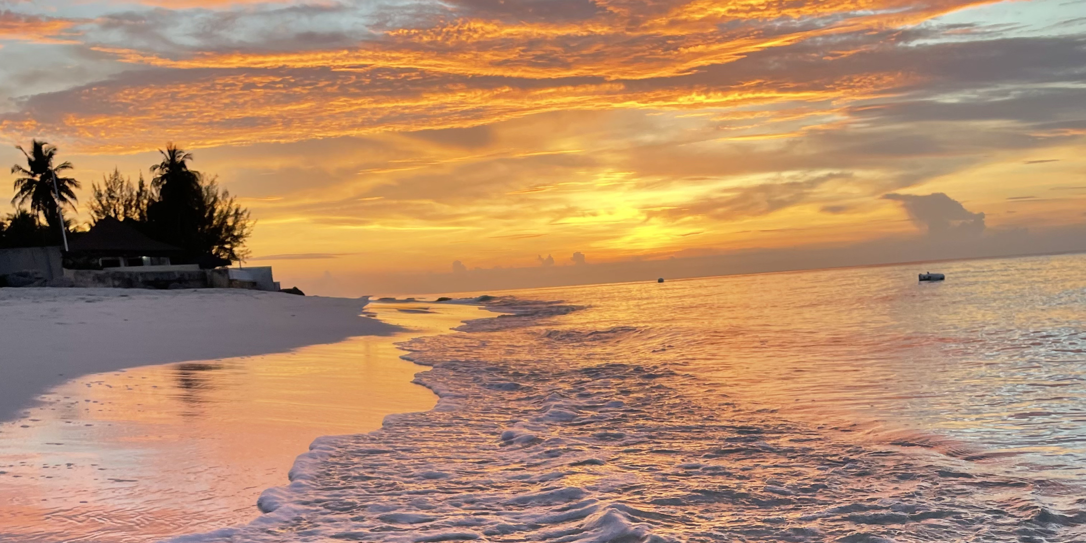 Caribbean Beach Night