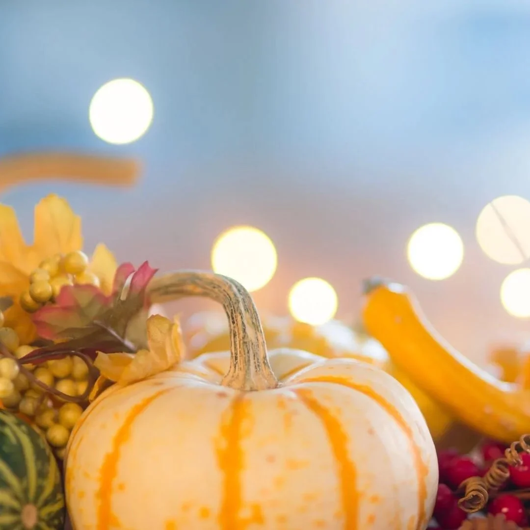 Fall Farm Night