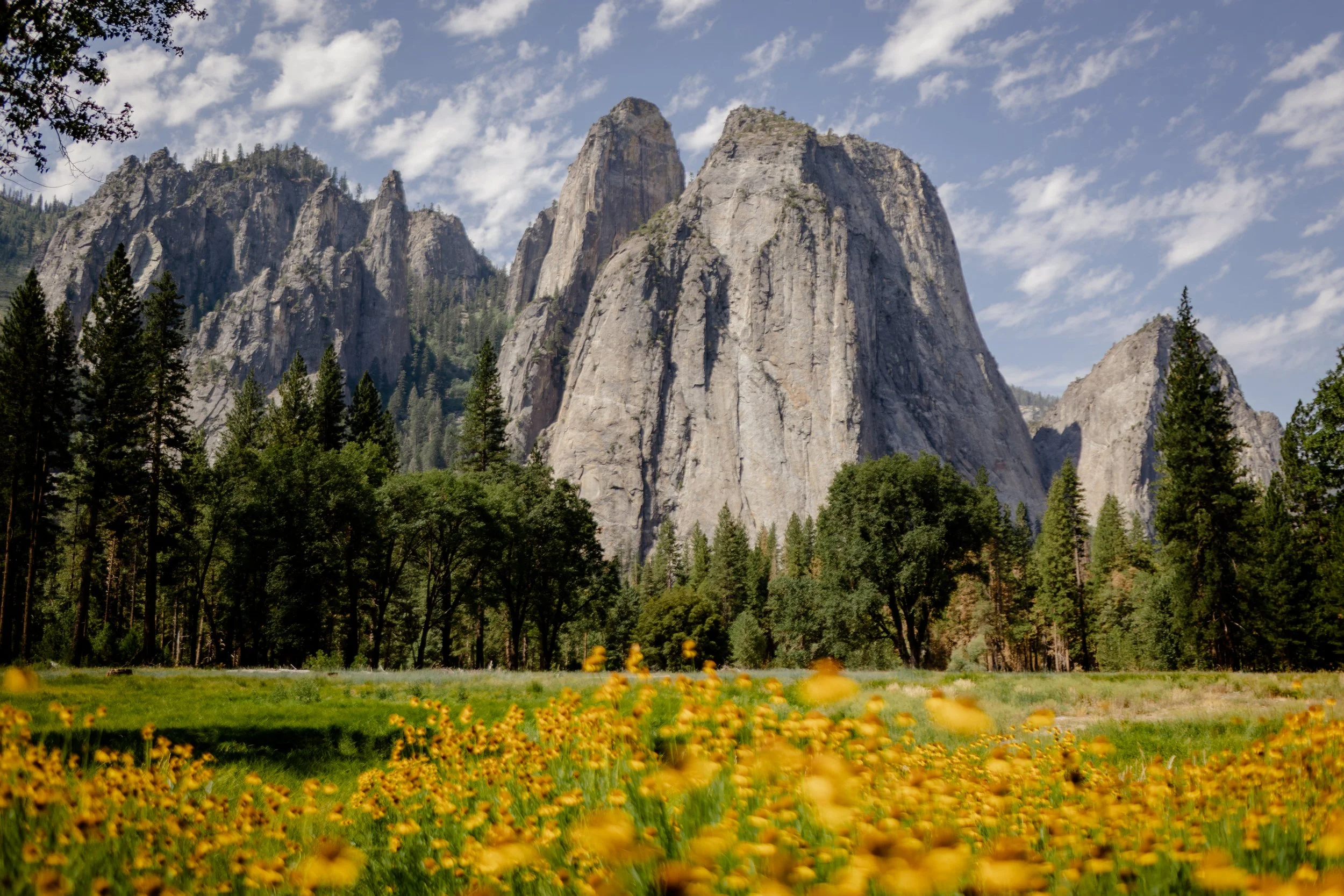 YosemiteElopement_JaredStephanie_California-4.jpg