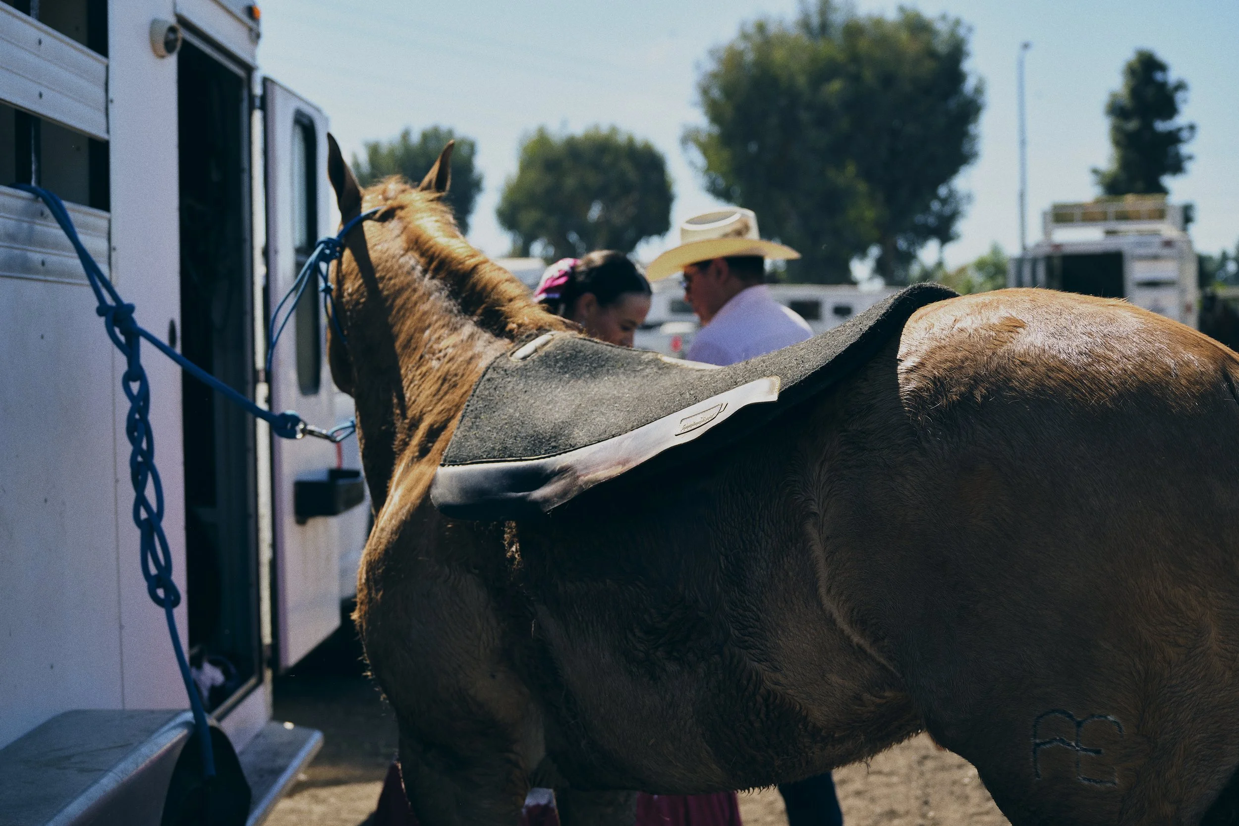 WM_Charreras_0405_A copy.jpg