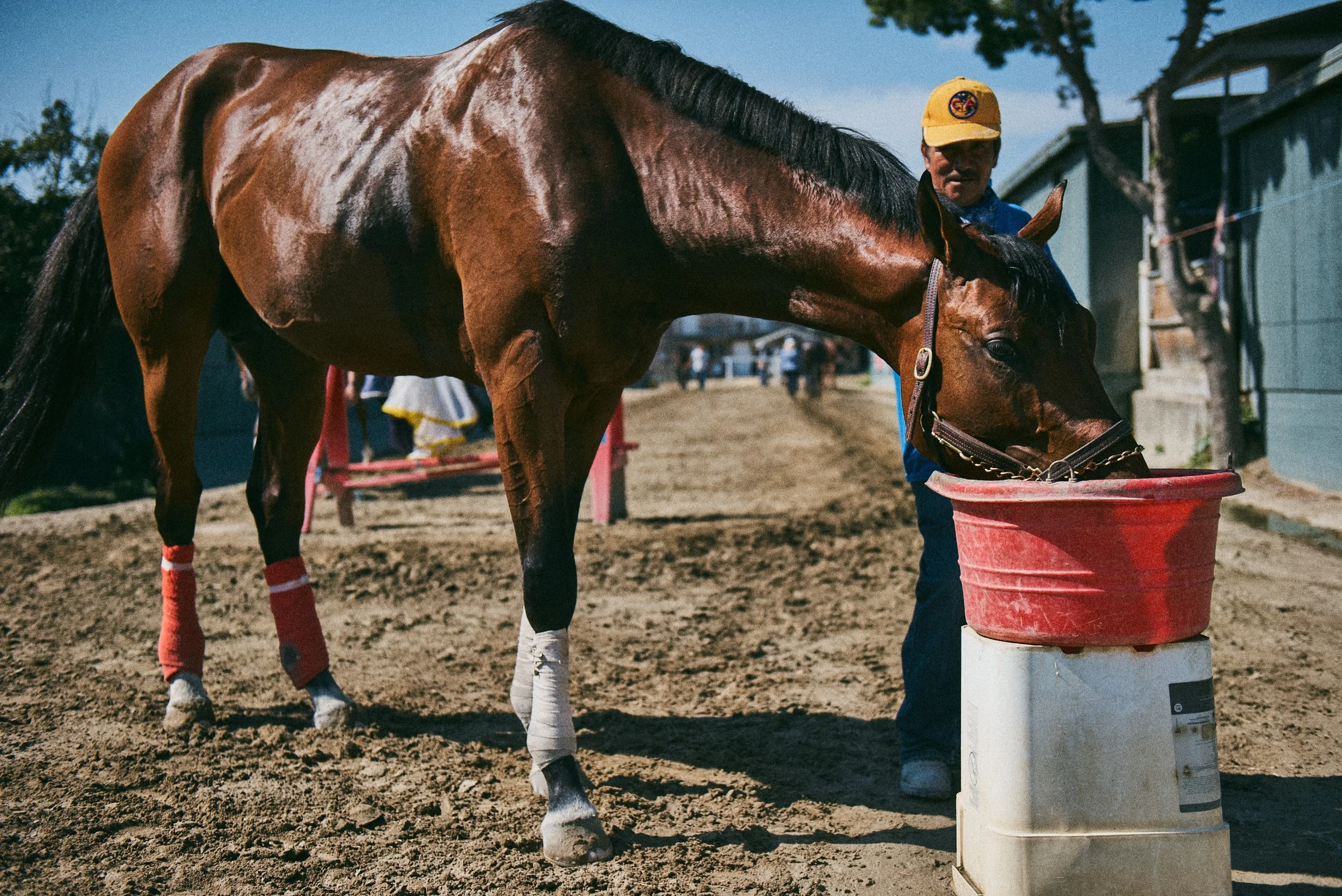 SantaAnita_02_0707.jpg