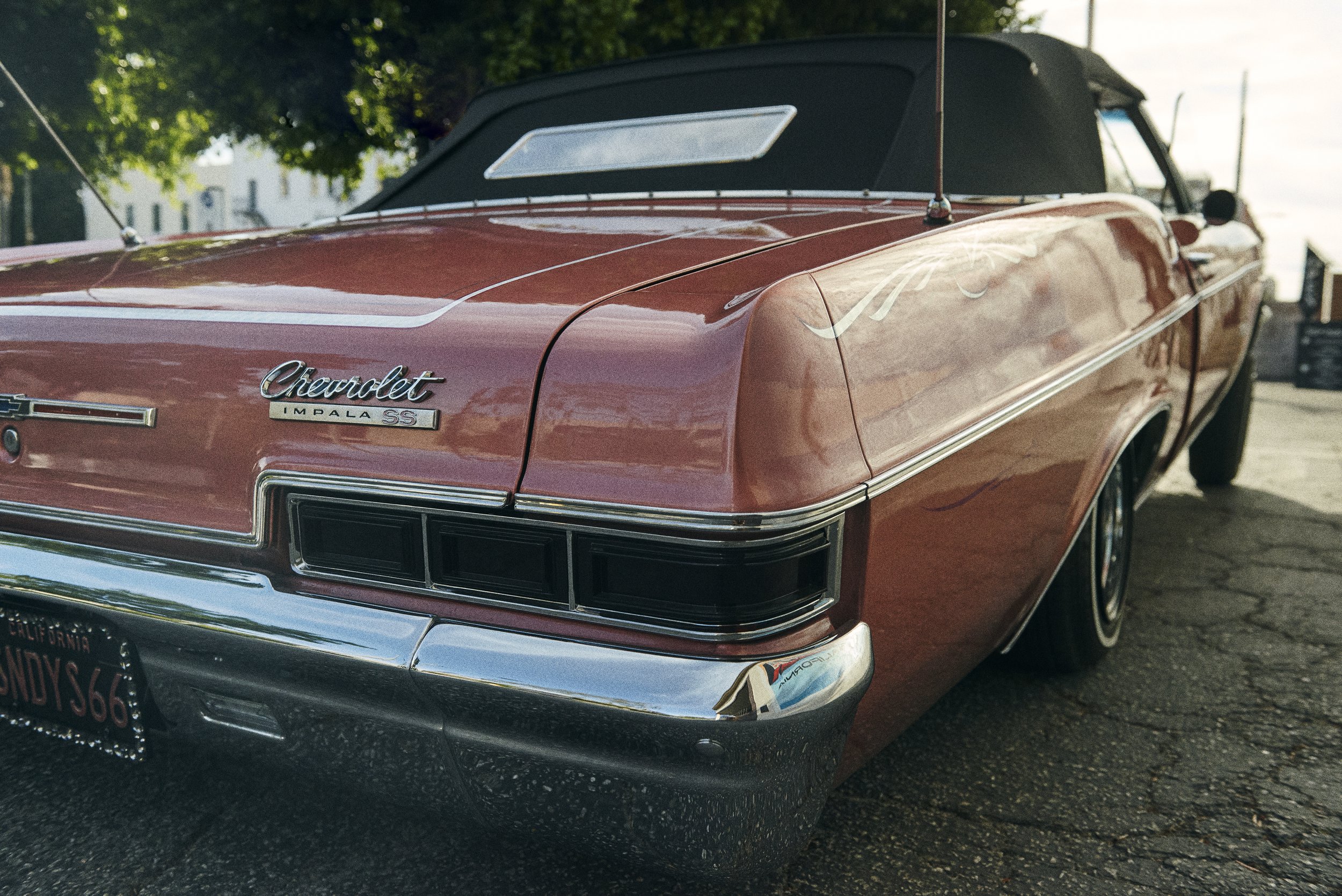 WM_Lowrider_0689_A copy.jpg