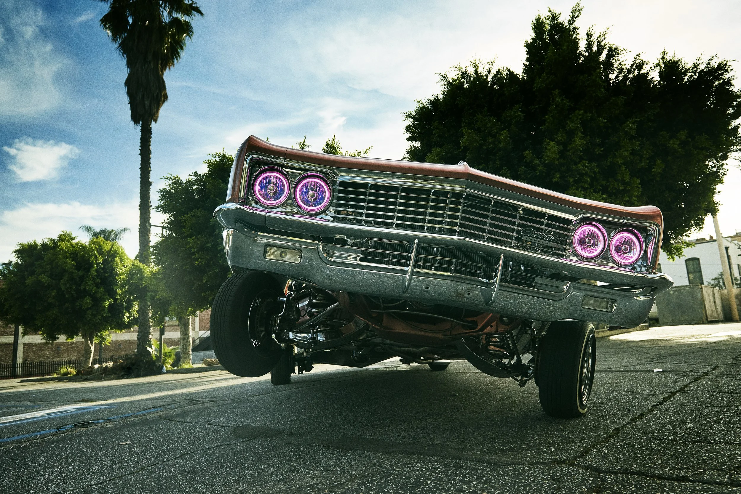 WM_Lowrider_0798_A copy.jpg