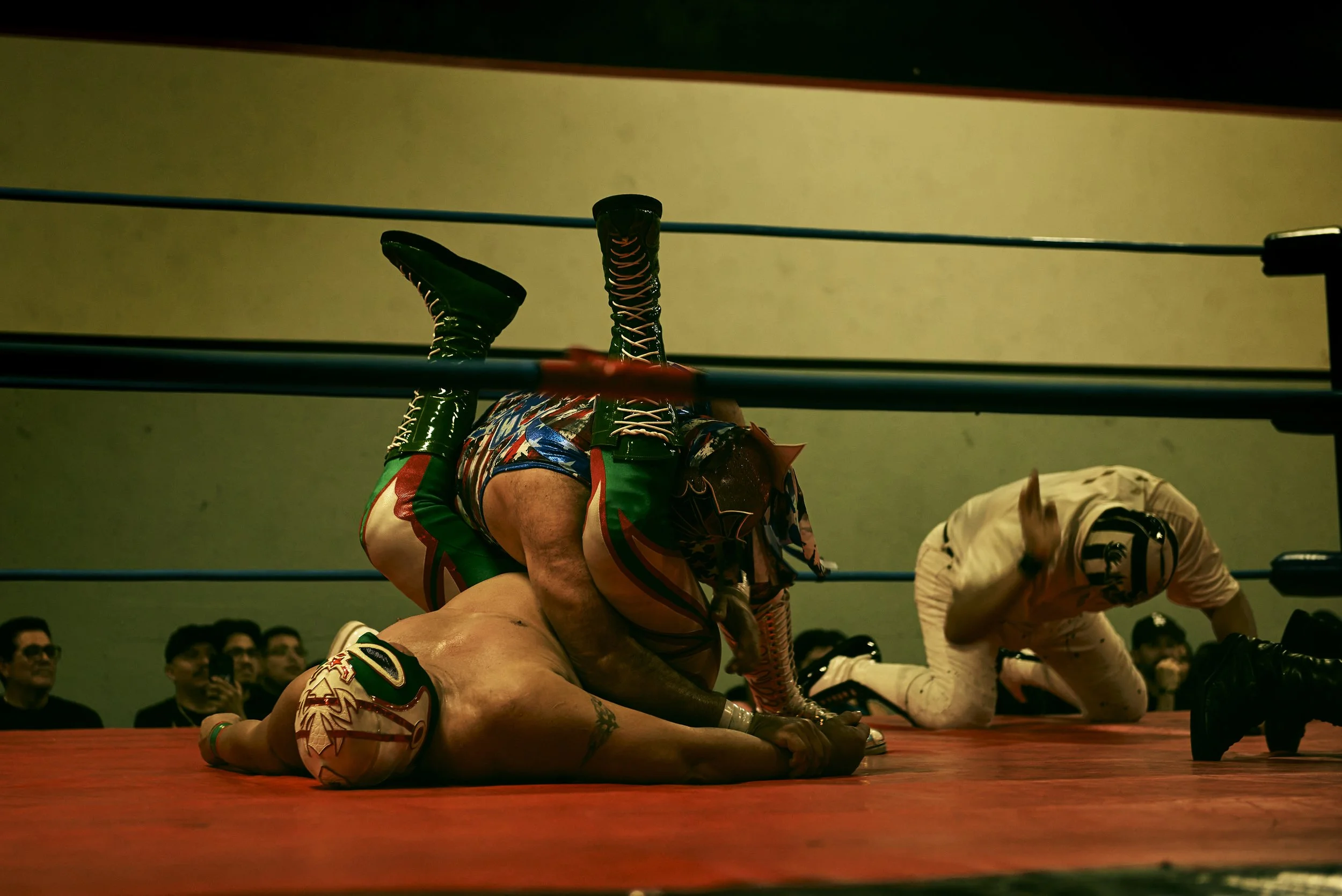 WM_Lucha_0833_A copy.jpg