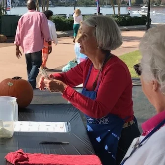 Virginia Stage Associates Make Theatre Possible