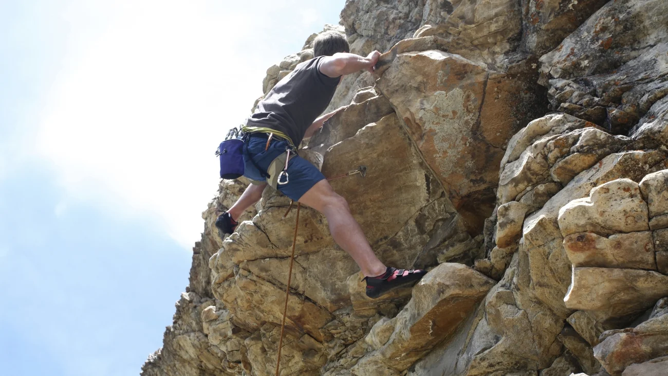 Light the Way Counselling Center, LLC