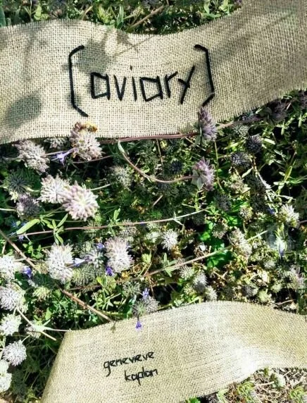 [aviary] reviewed on The Kalliope