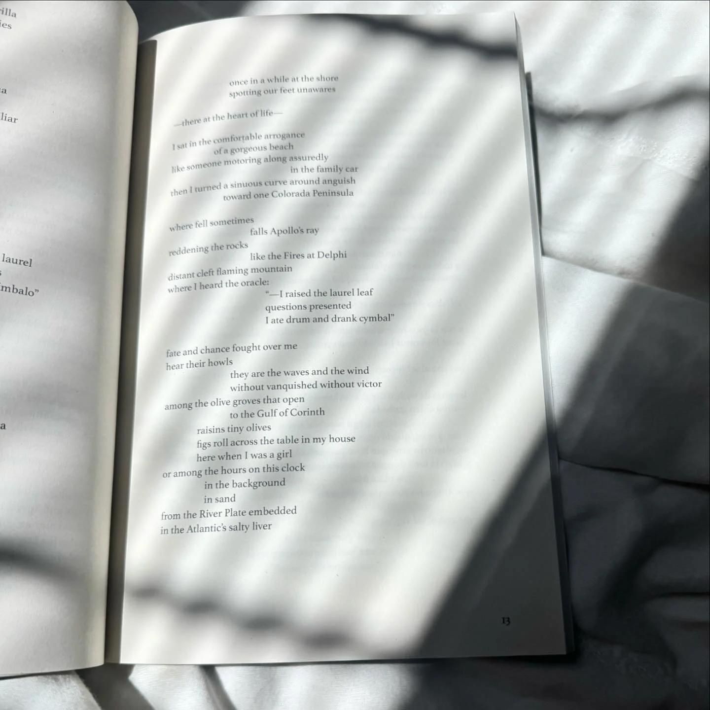 &ldquo;fate and chance fought over me / hear their howls&rdquo;
💙🌜
A glimpse into this stunning translation, THE LADY OF ELCHE (2023) | Translated from Spanish by Kristin Dykstra, written by Amanda Berenguer 

Stay tuned for more peeks into our poe