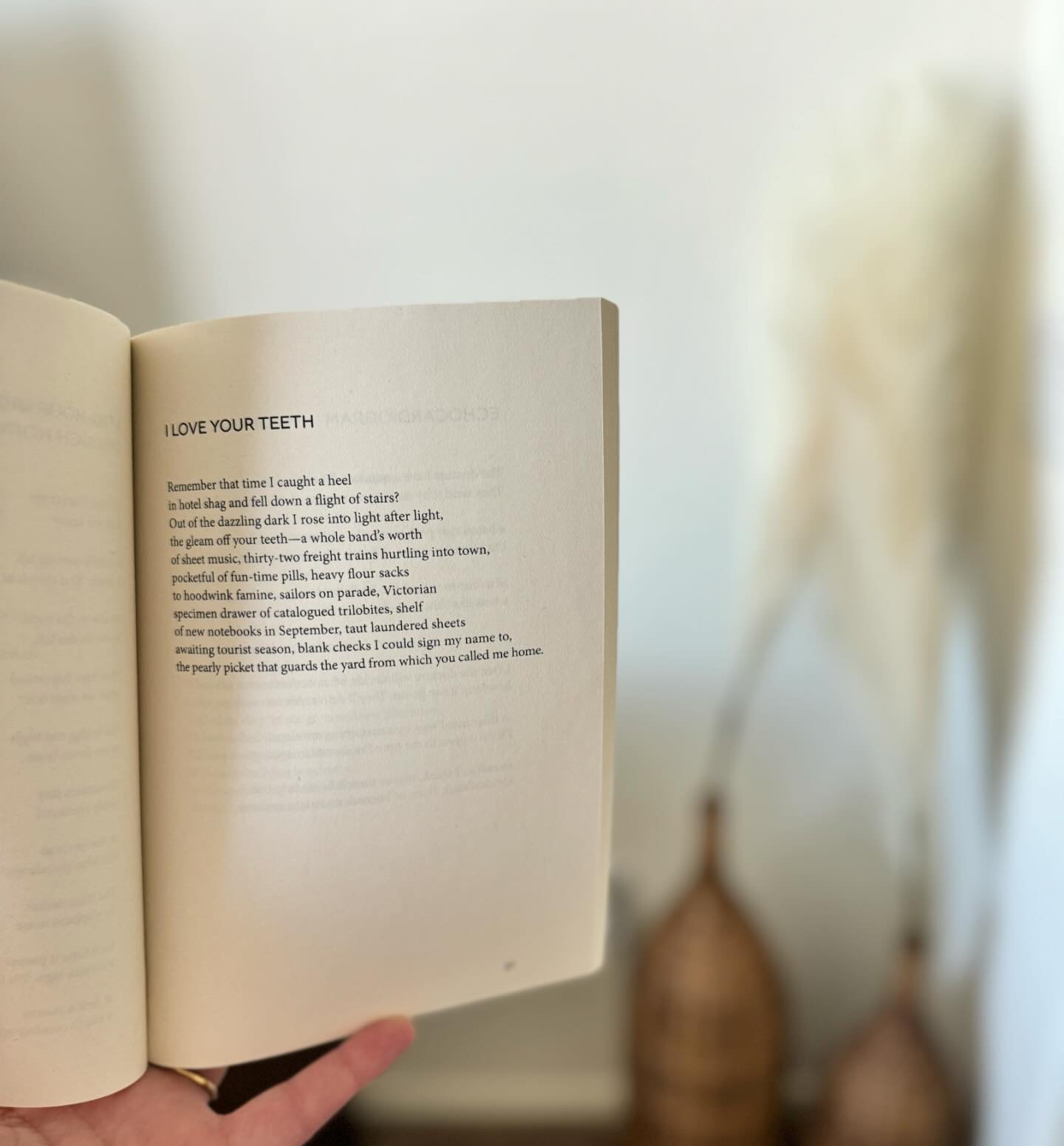 &ldquo;Out of the dazzling dark, I rose into light after light / the gleam off your teeth&rdquo; 🌅✨

Enjoyed this sneak peek into SHARE THE WEALTH, by Maureen Thorson (2022)? Find it and many more for 20% off through the month of April for #national