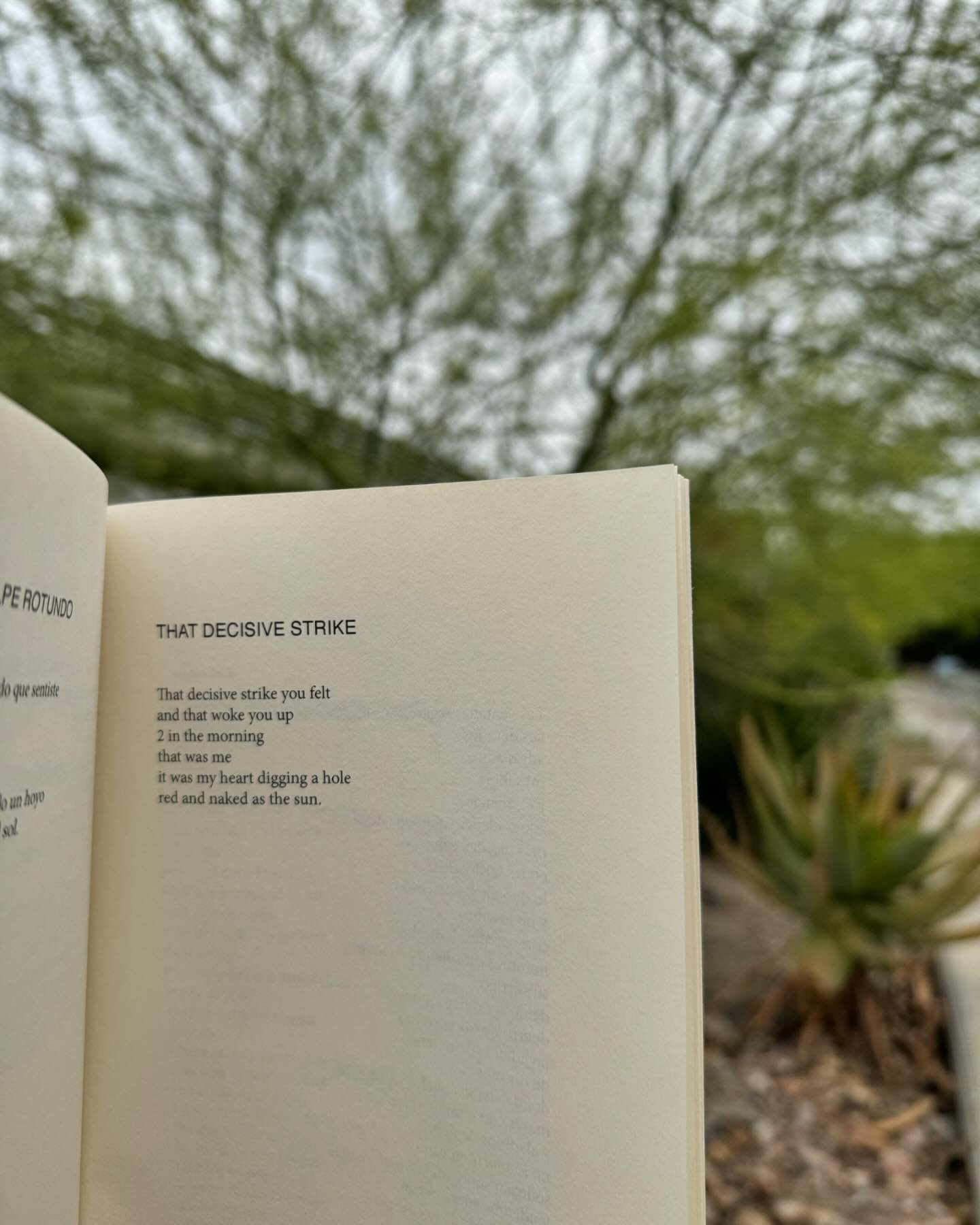 &ldquo;it was my heart digging a hole / red and naked as the sun&rdquo;
🌤️🌵

We can&rsquo;t get enough of WE DO NOT LIVE IN VAIN (2020), translated by Jeannine Marie Pitas. Don&rsquo;t miss 20% off all poetry books and chapbooks for the month of Ap
