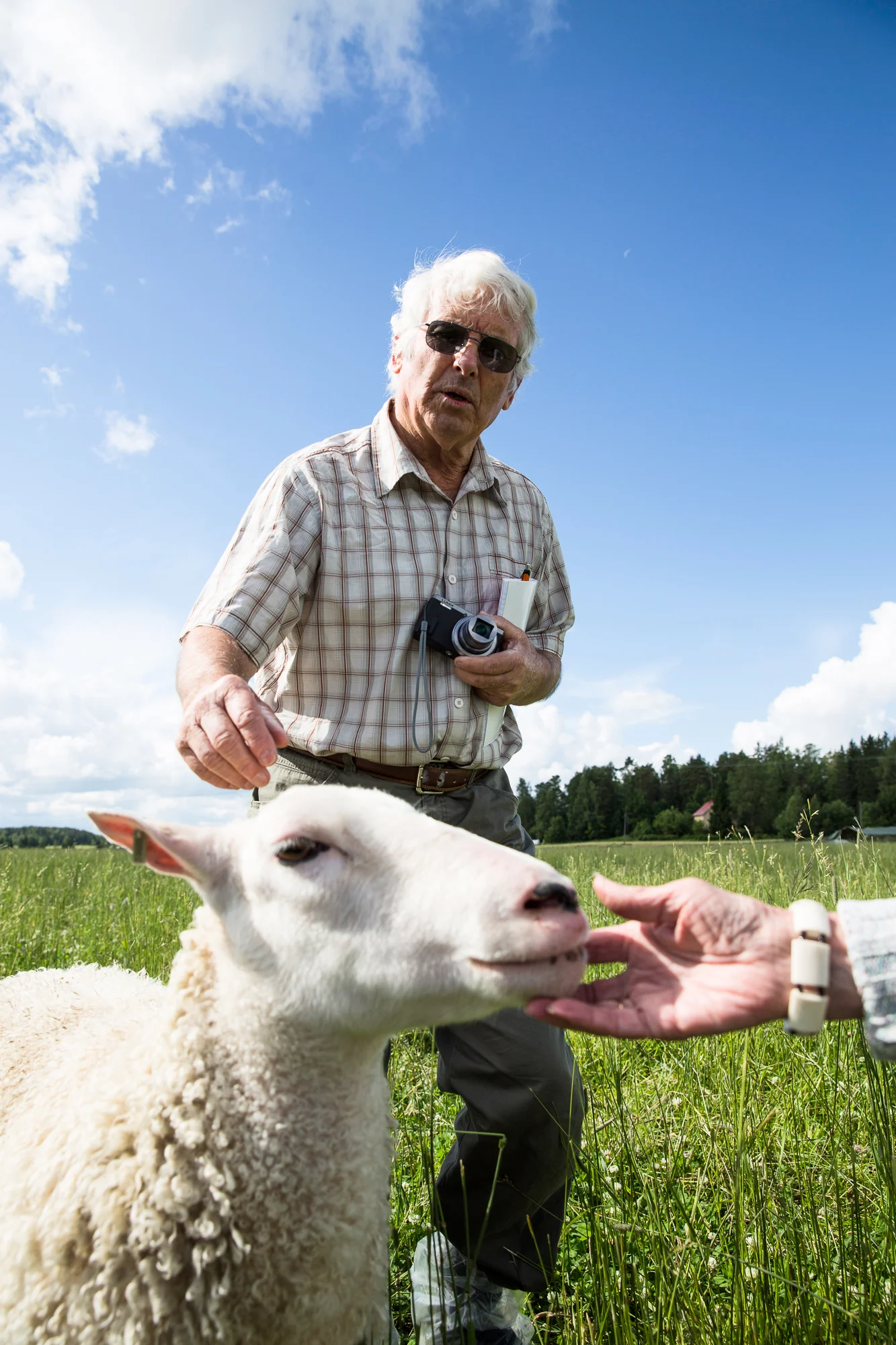  Sheep expert Robin Hilson.&nbsp;  © Maaseudun Tulevaisuus&nbsp; 