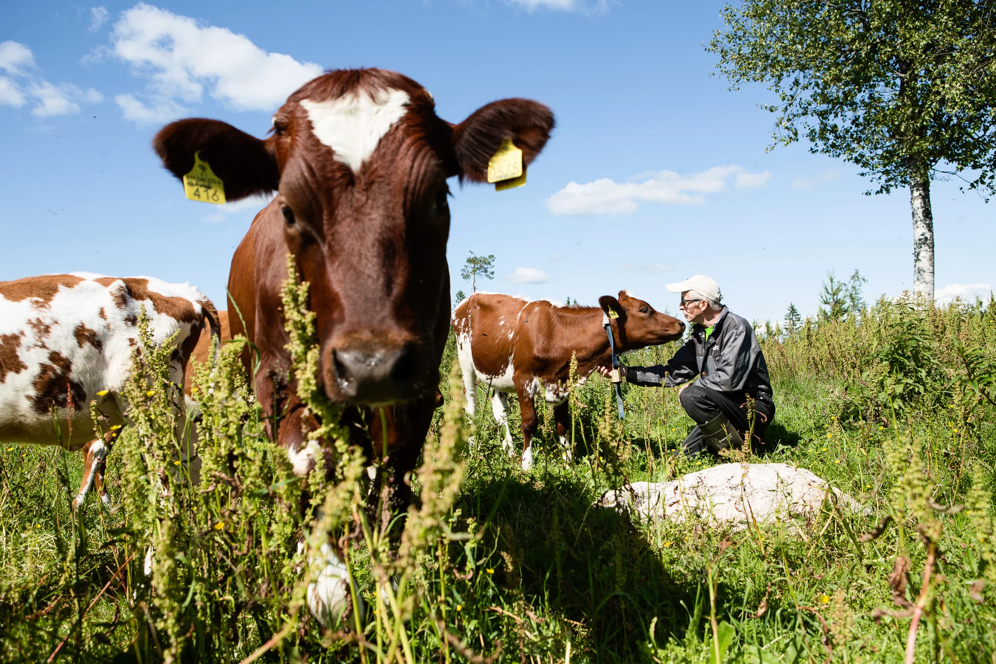  © Maaseudun Tulevaisuus.&nbsp; 