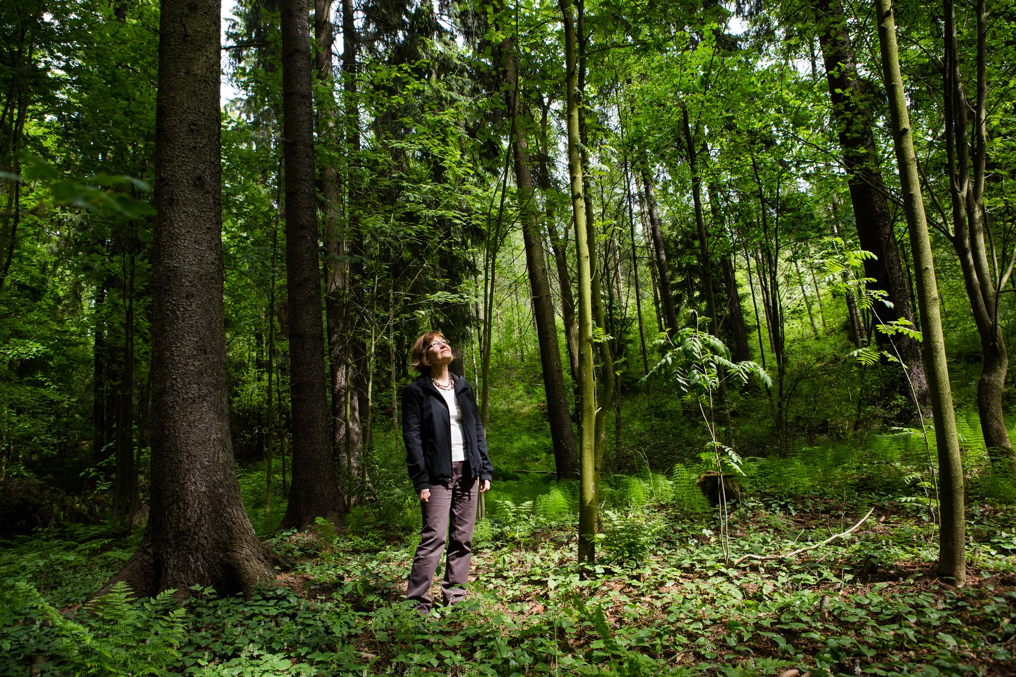  Annikki Mäkelä&nbsp; Professor in Silviculture. &nbsp;   © Maaseudun Tulevaisuus.&nbsp; 