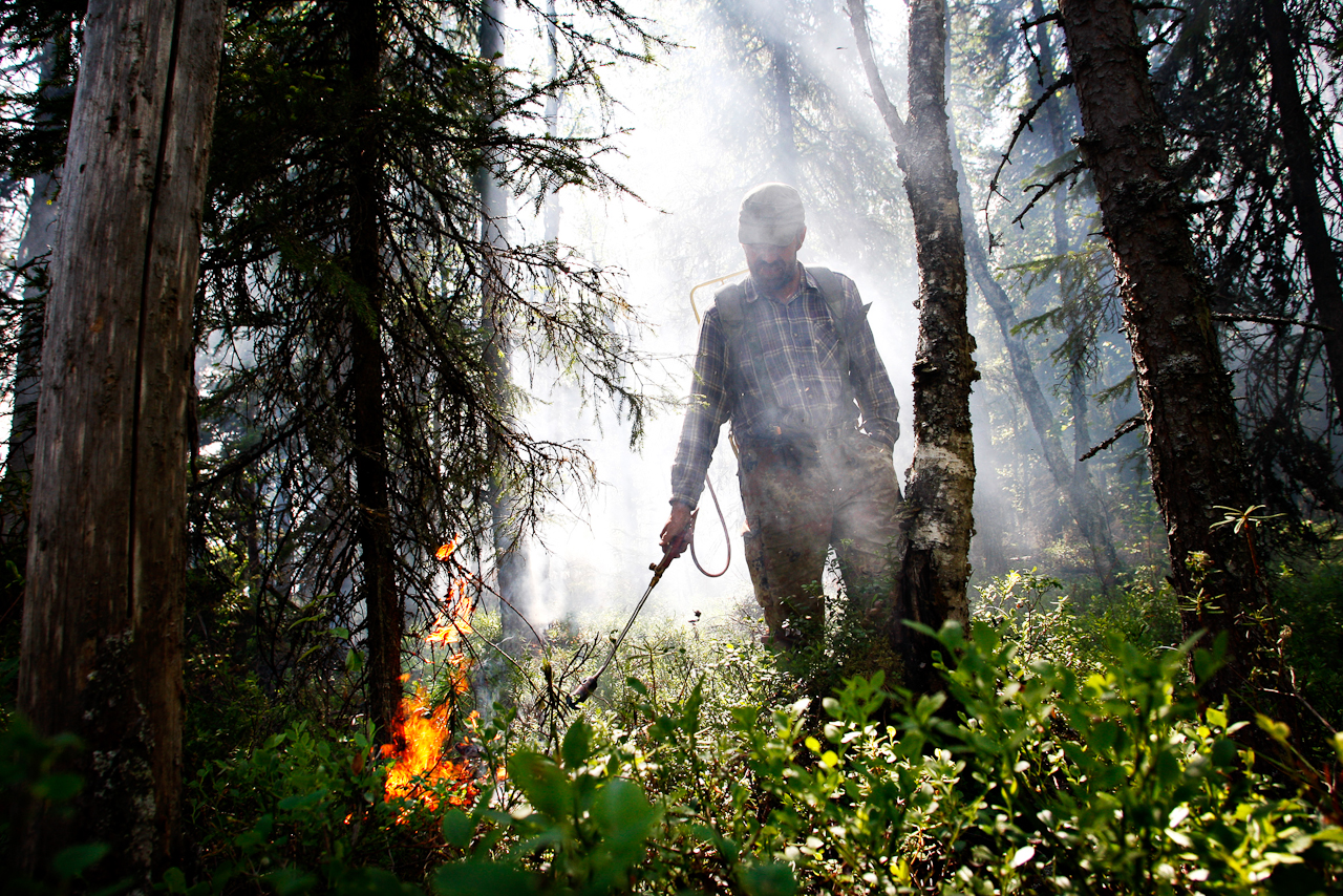 Burn-clearing is still in use in Finland. © Kainuun Sanomat