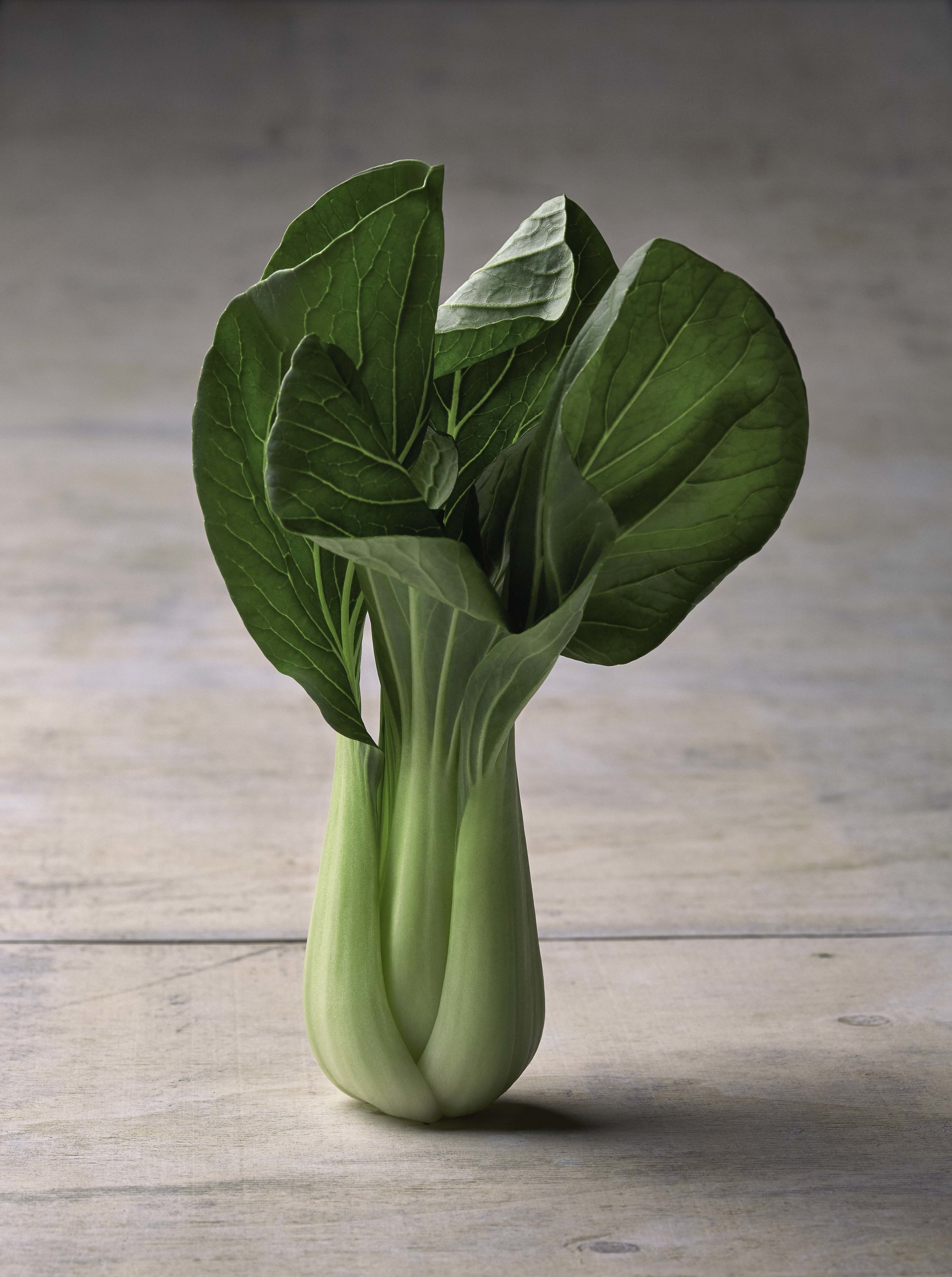 Bok Choy.jpg