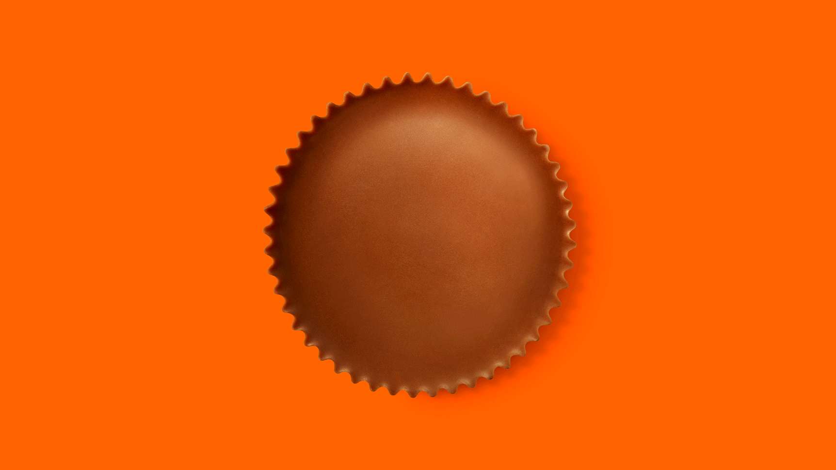 reeses_portfoliocover.gif