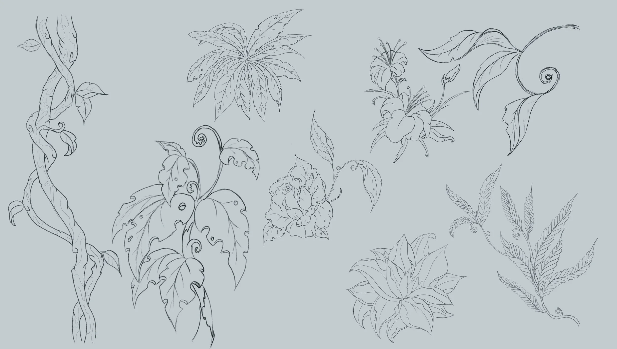 plant_sketches1.jpg