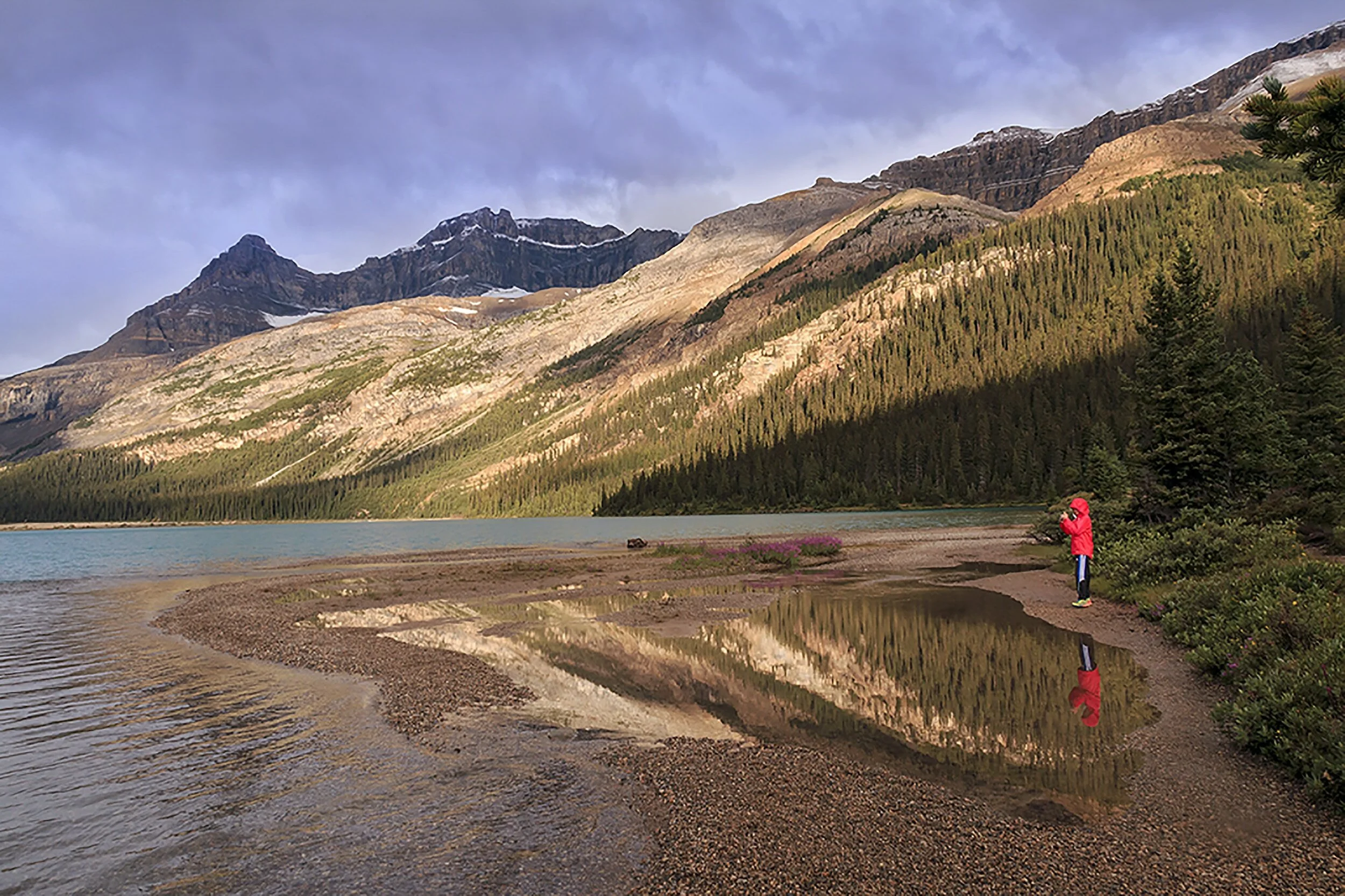 B.C.’s New Bill 31 – Emergency and Disaster Management Act