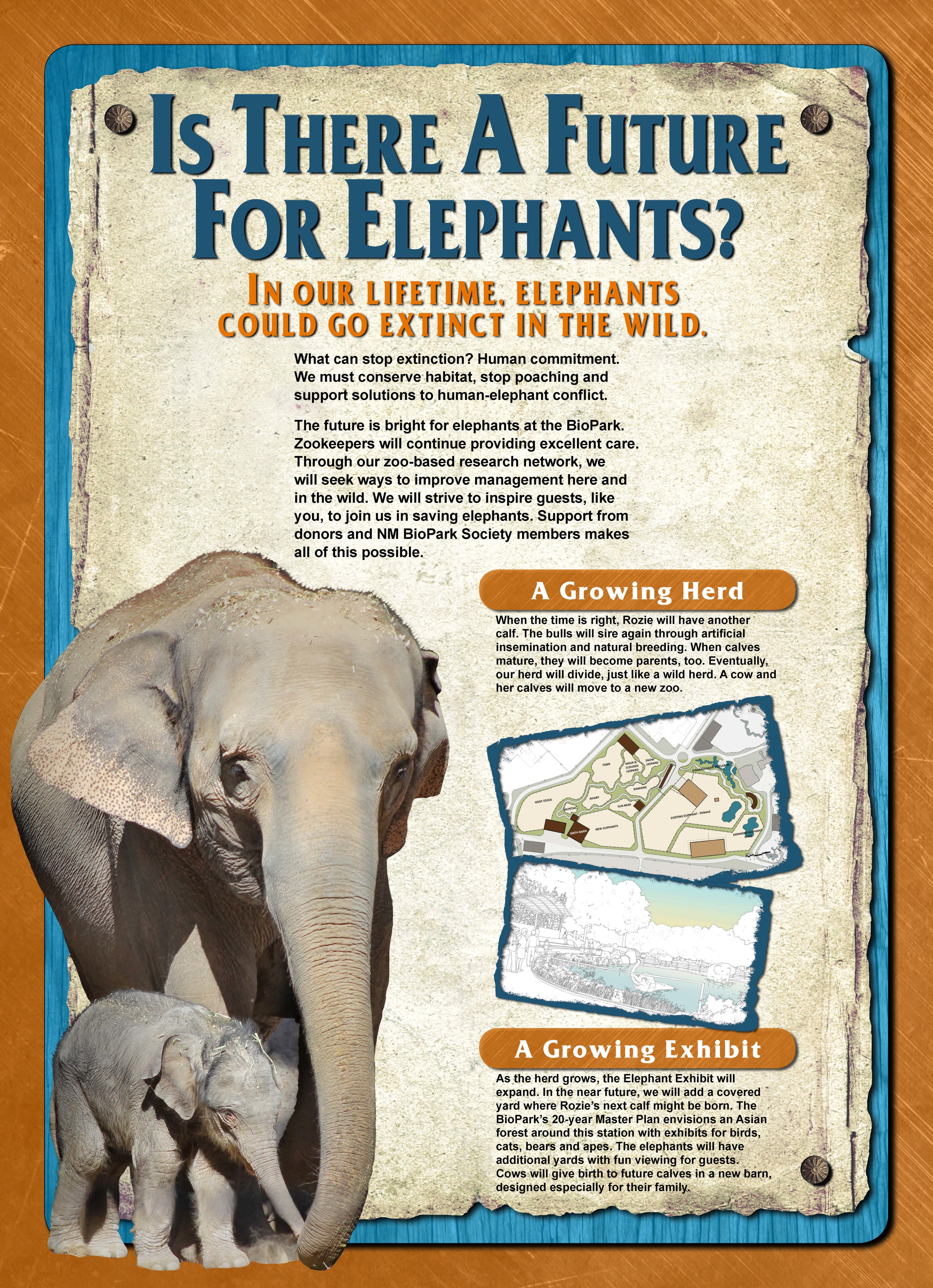 11-Is There a Future for Elephants.jpg