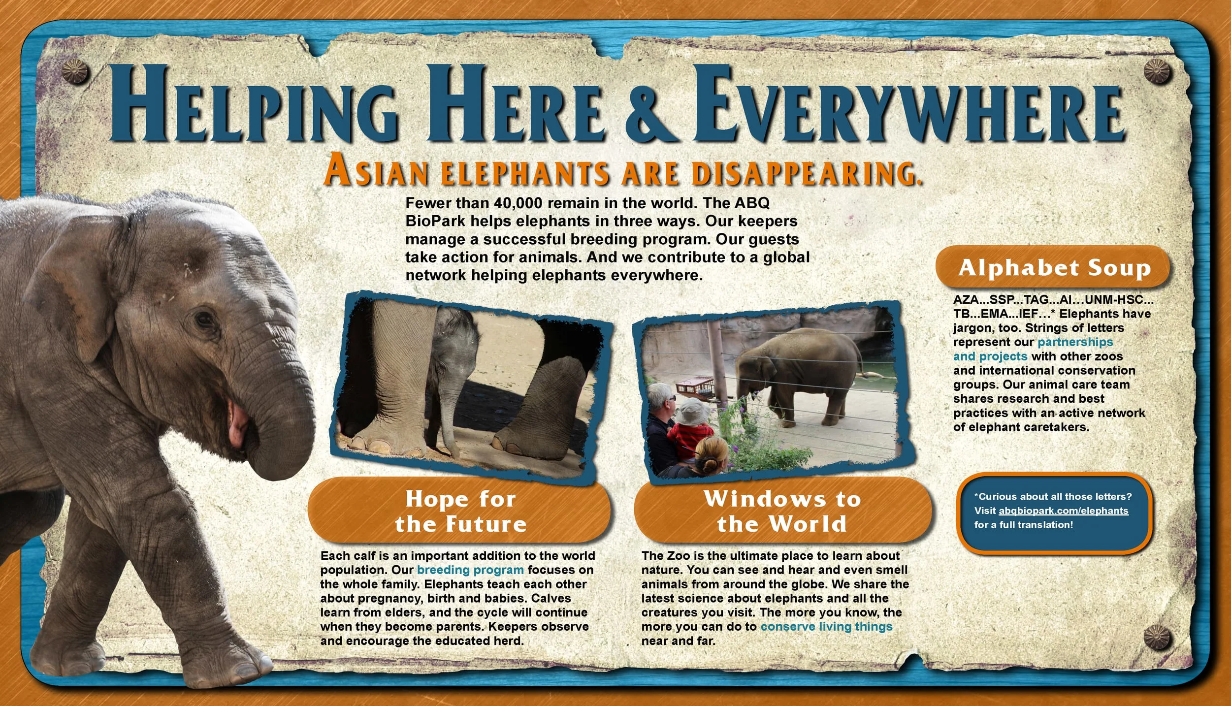 2-Helping Here and Everywhere.jpg