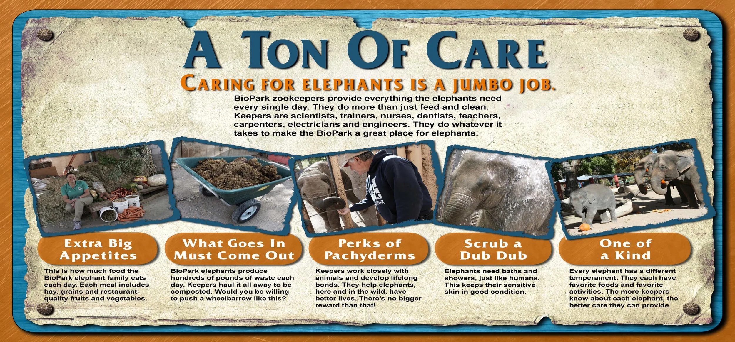 1-A Ton of Care.jpg