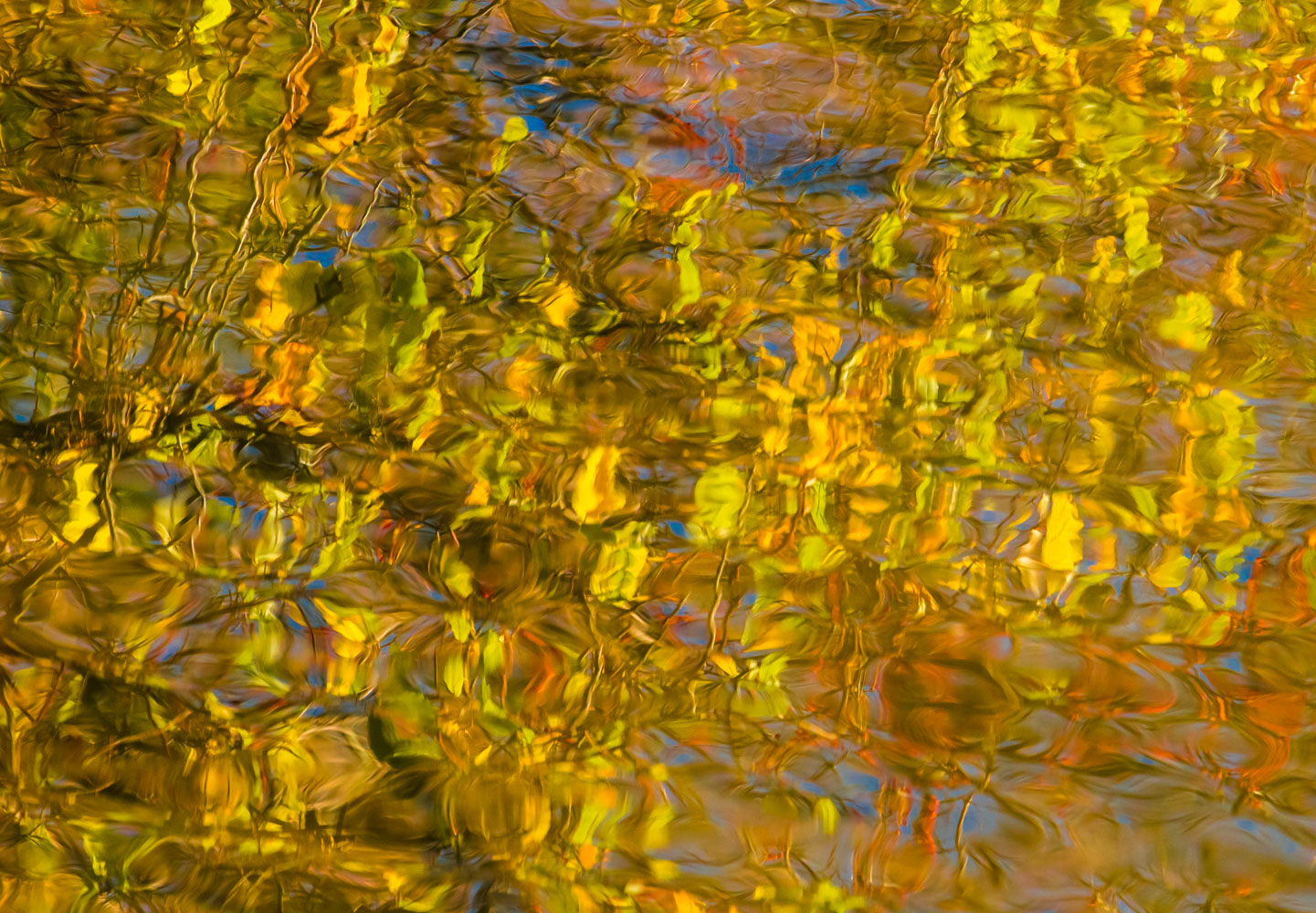  Liquid Light: Golden Radiance No. 1 