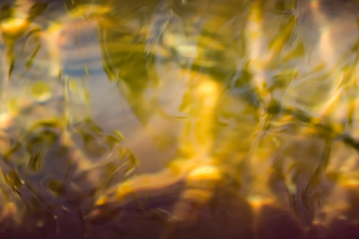 Liquid Light: Worlds Within Worlds