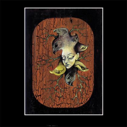 The Sevens Collection - A Too Much Divided Heart CD Cover (2013)