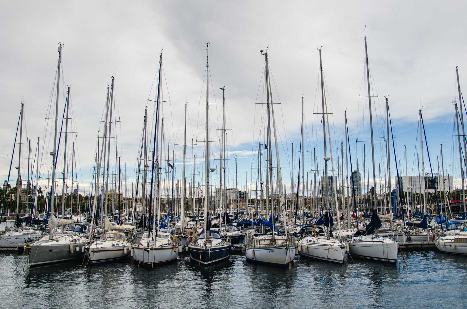 _BUA8439.jpg