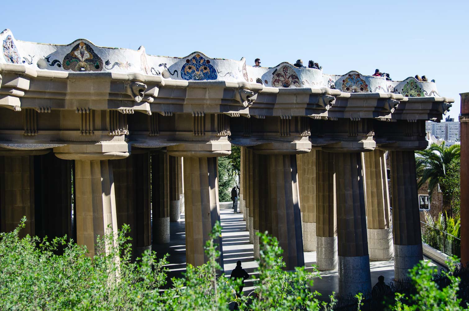 _BUA8845.jpg