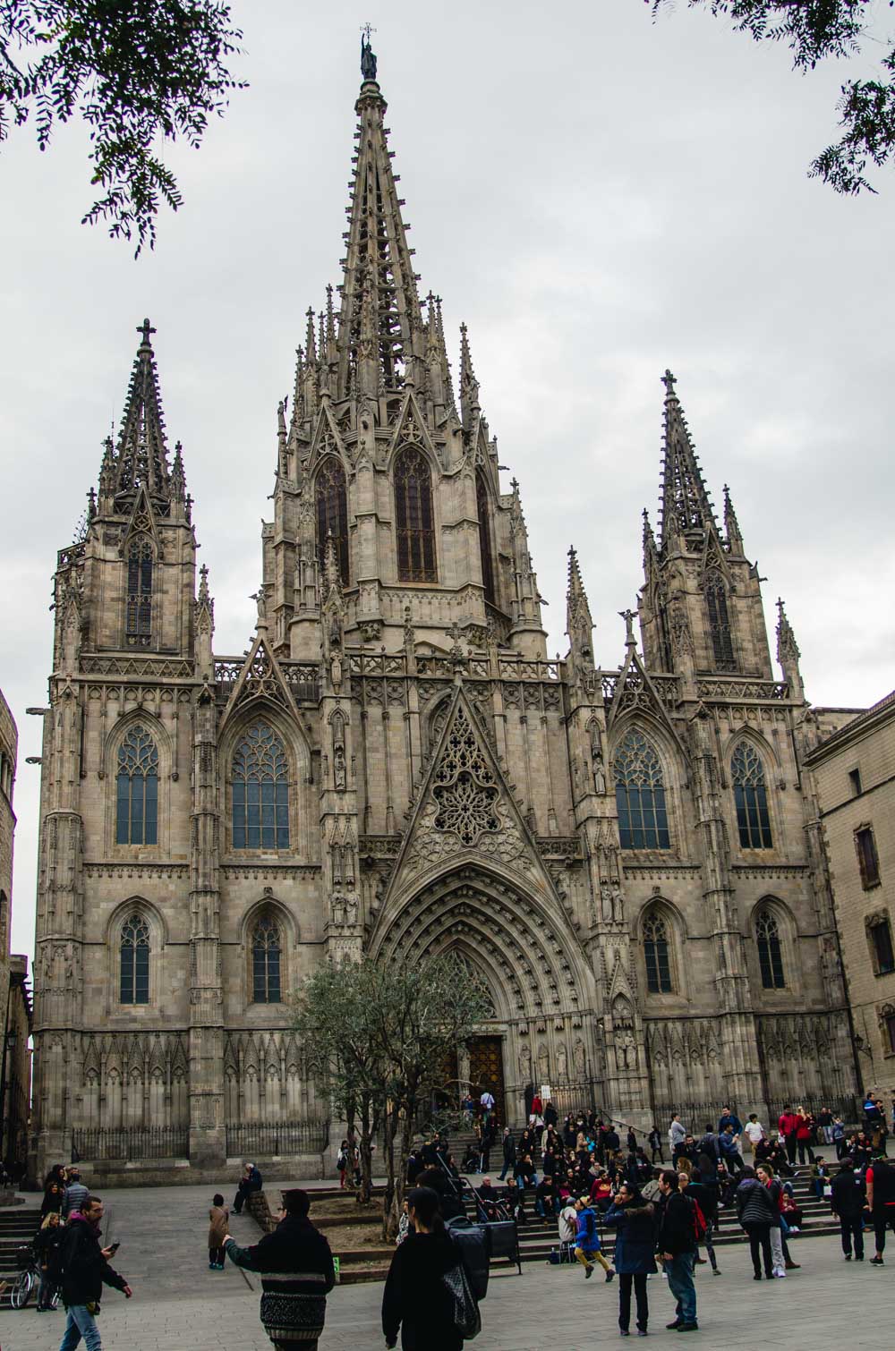 _BUA8372.jpg