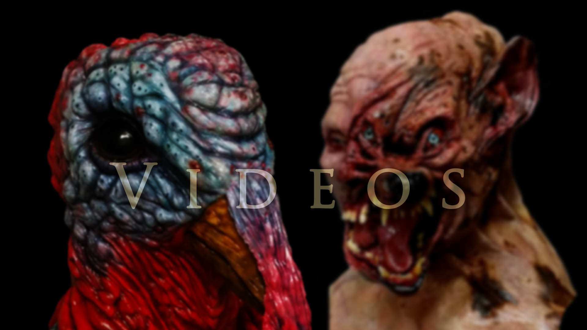 EvanParraFX Video.jpg