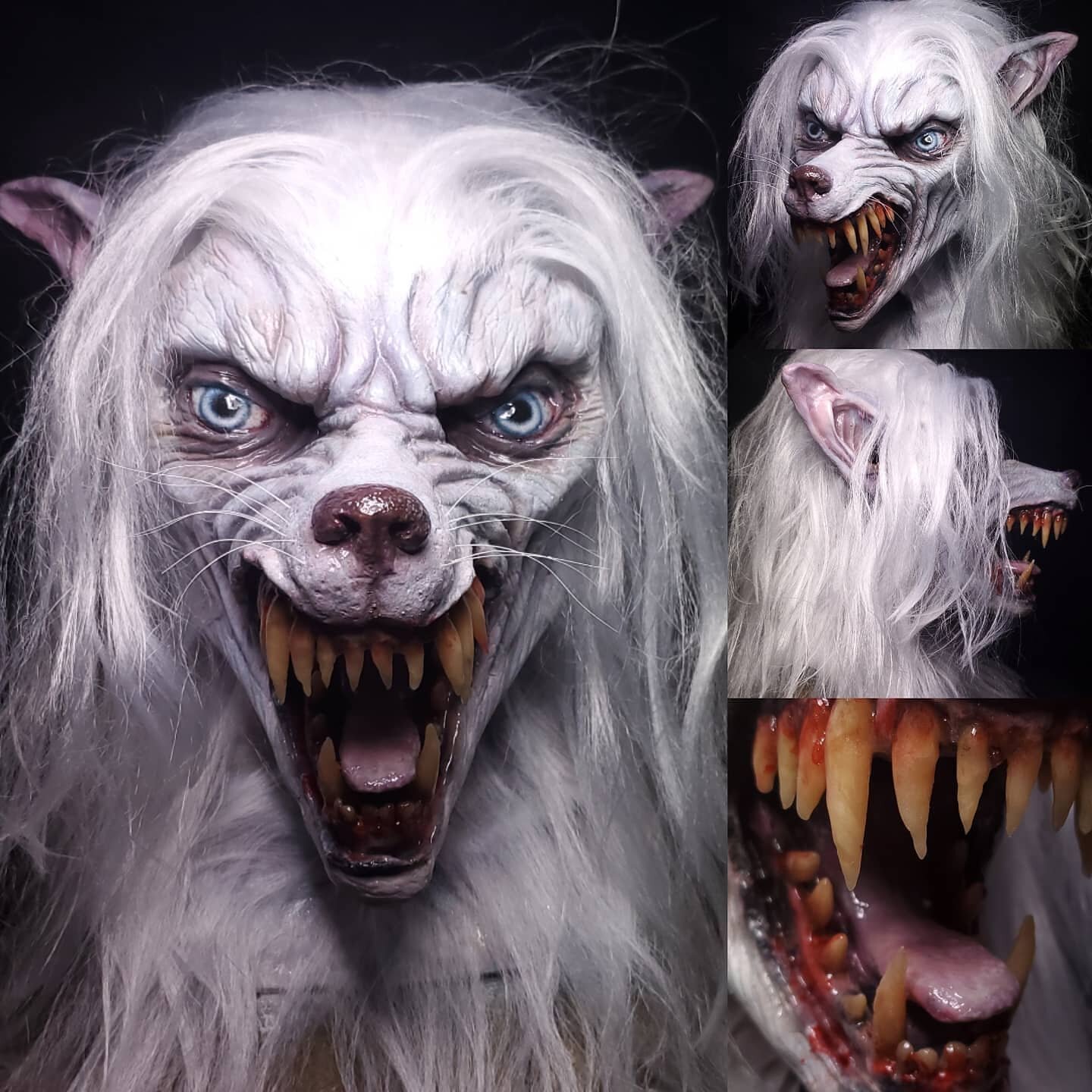 Made an albino Winter Werewolf mask for a customer! I love this one and wanted to keep it. 😂

#fx #specialfx #sculpture #sculpting #art #albino #horror #halloween #halloweenmask #howling #mask #masks #props #werewolf #werewolfwednesday #wolf #whitew