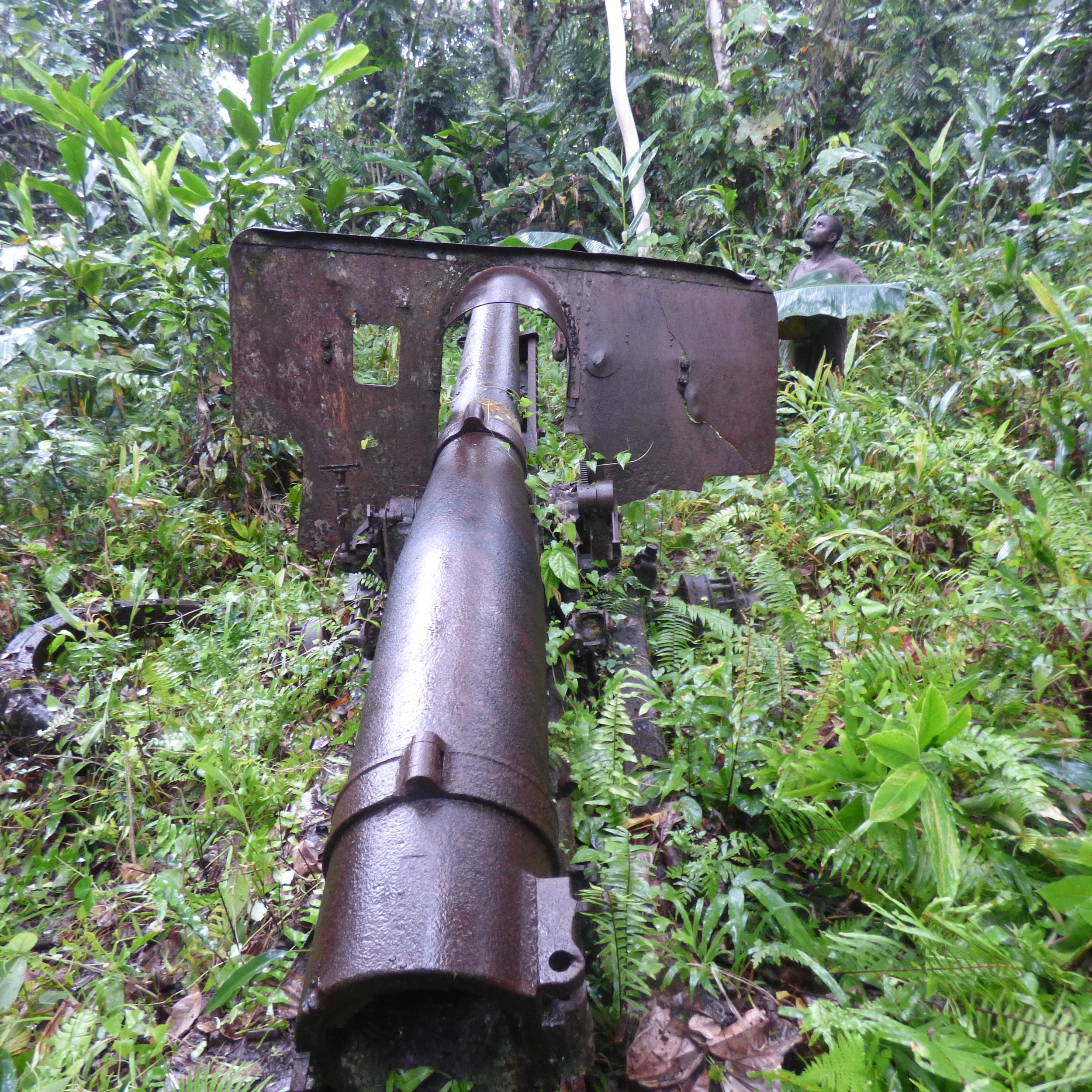 Japaneses canon.JPG