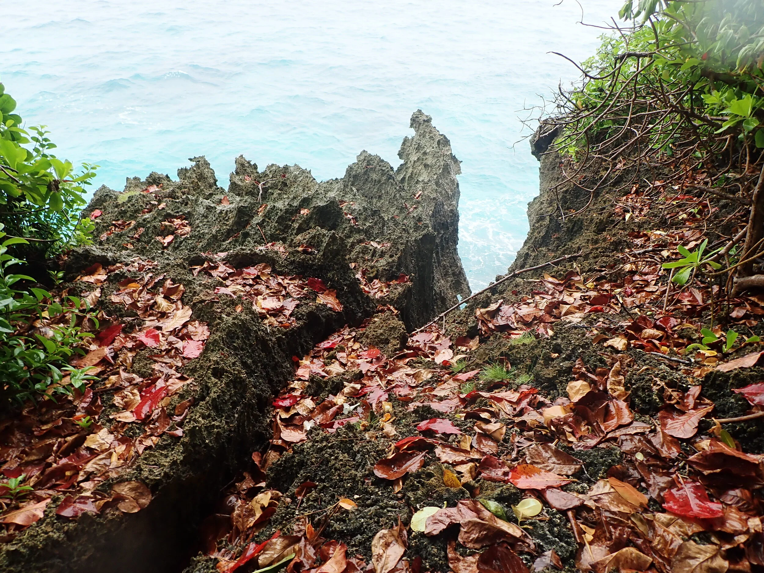 P8240166.JPG