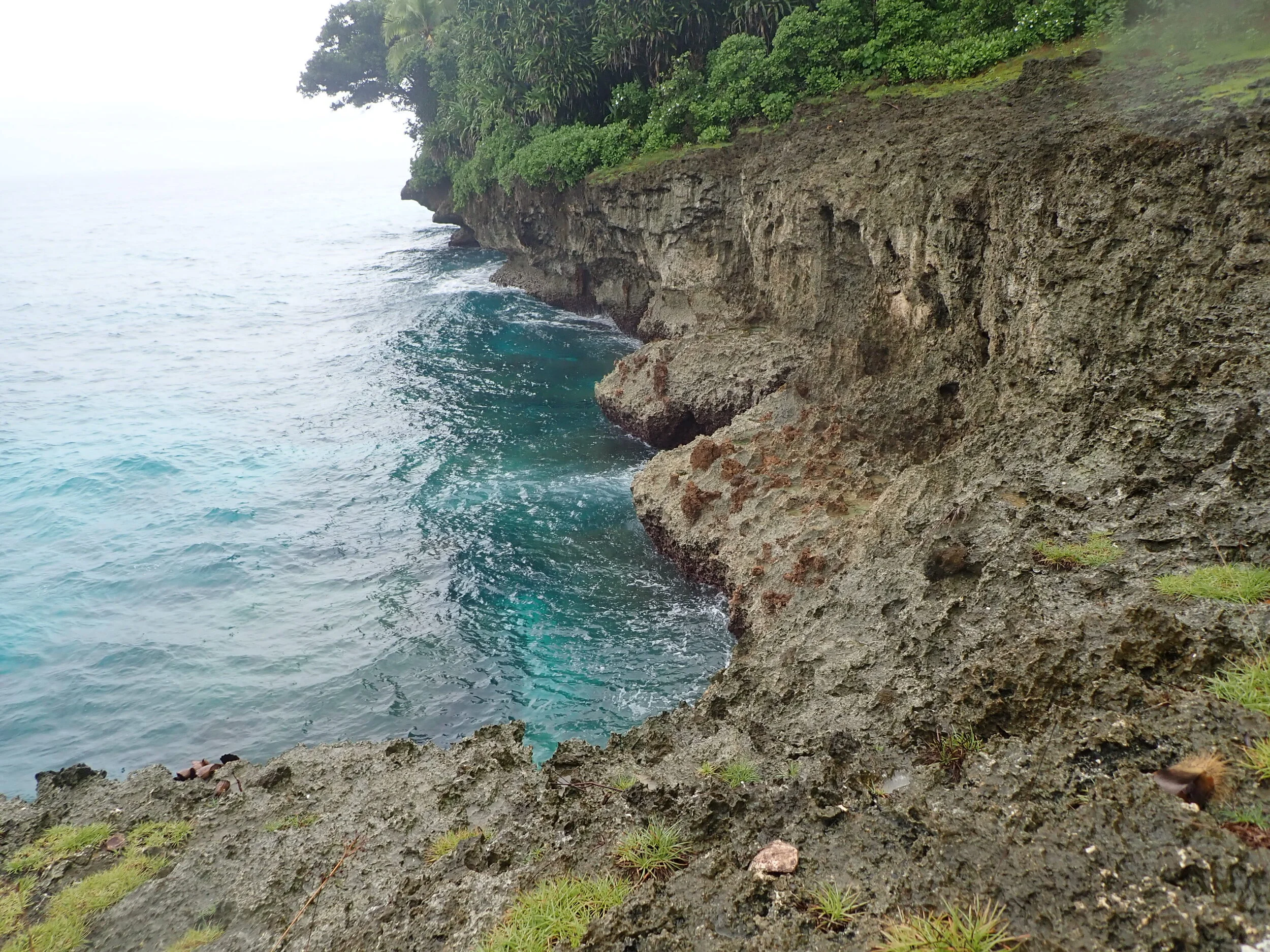 P8240177.JPG