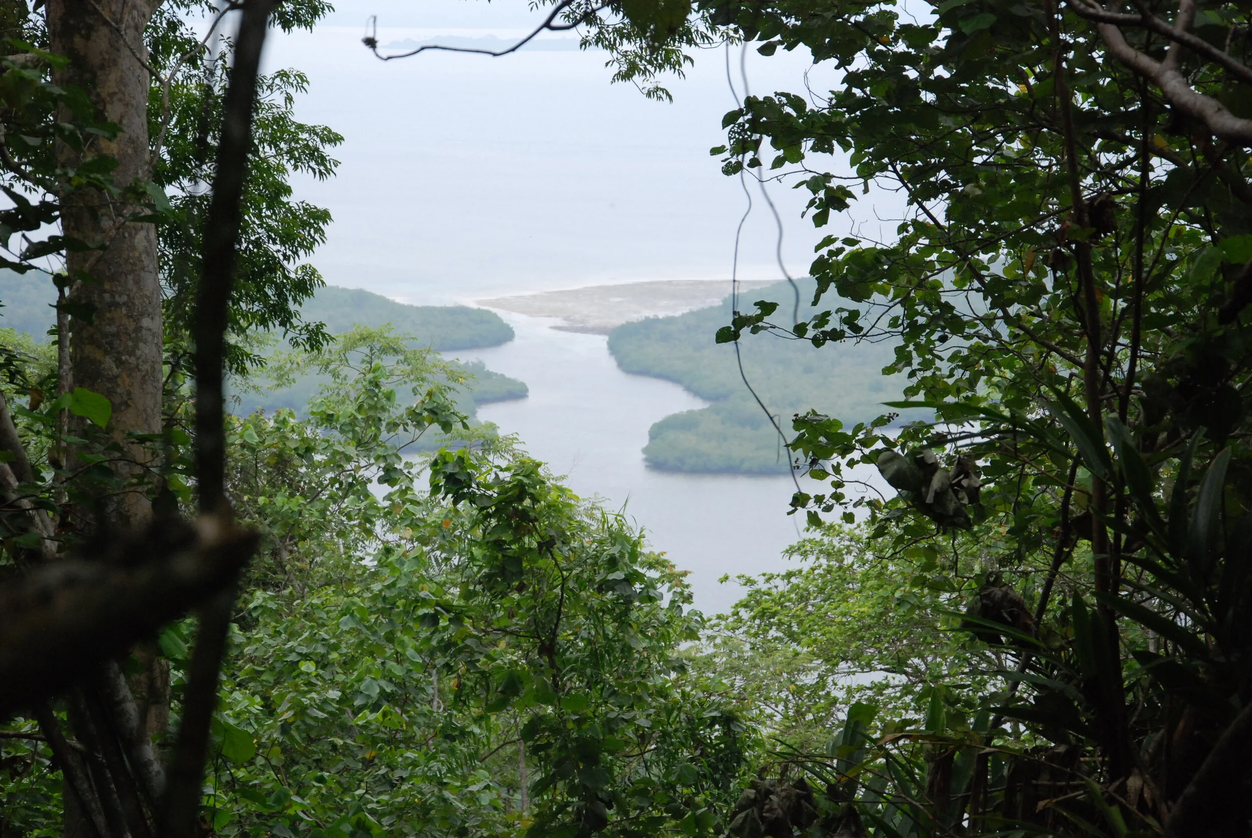 DSC_9645.JPG