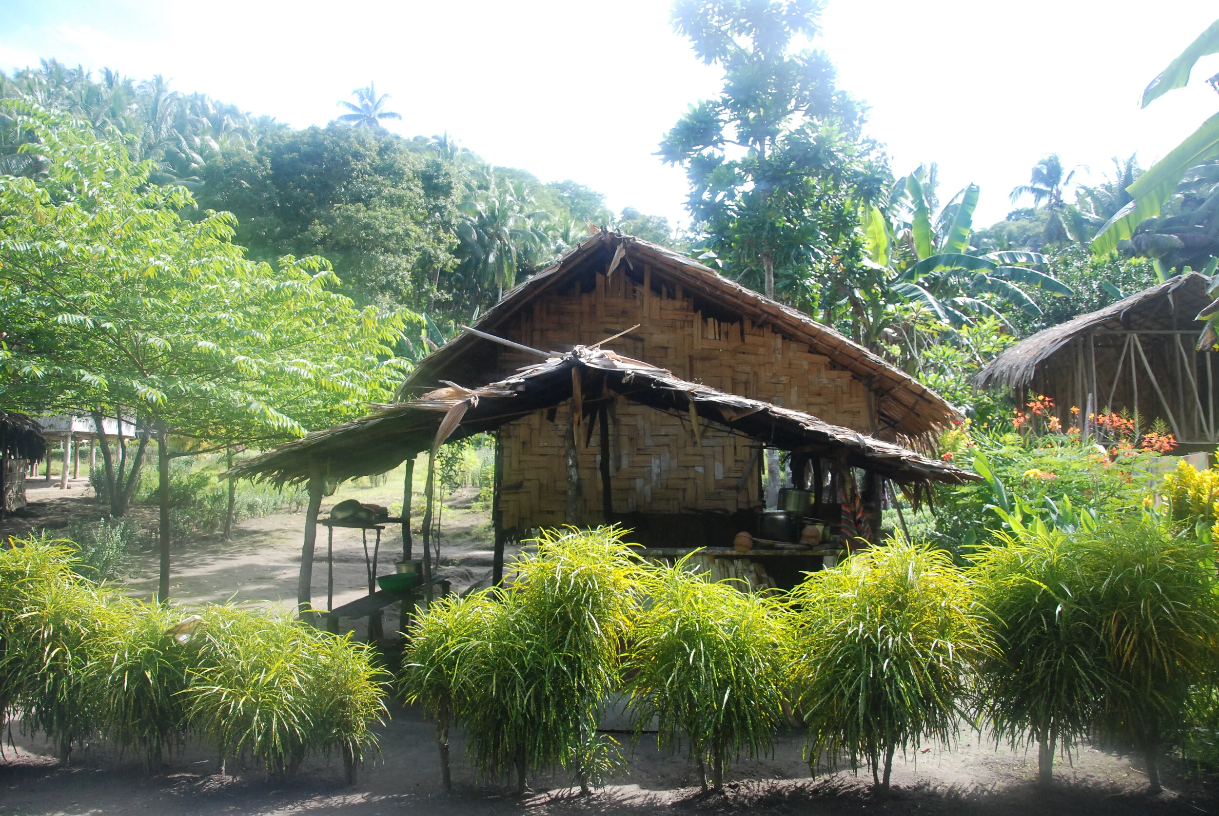 DSC_9894.JPG