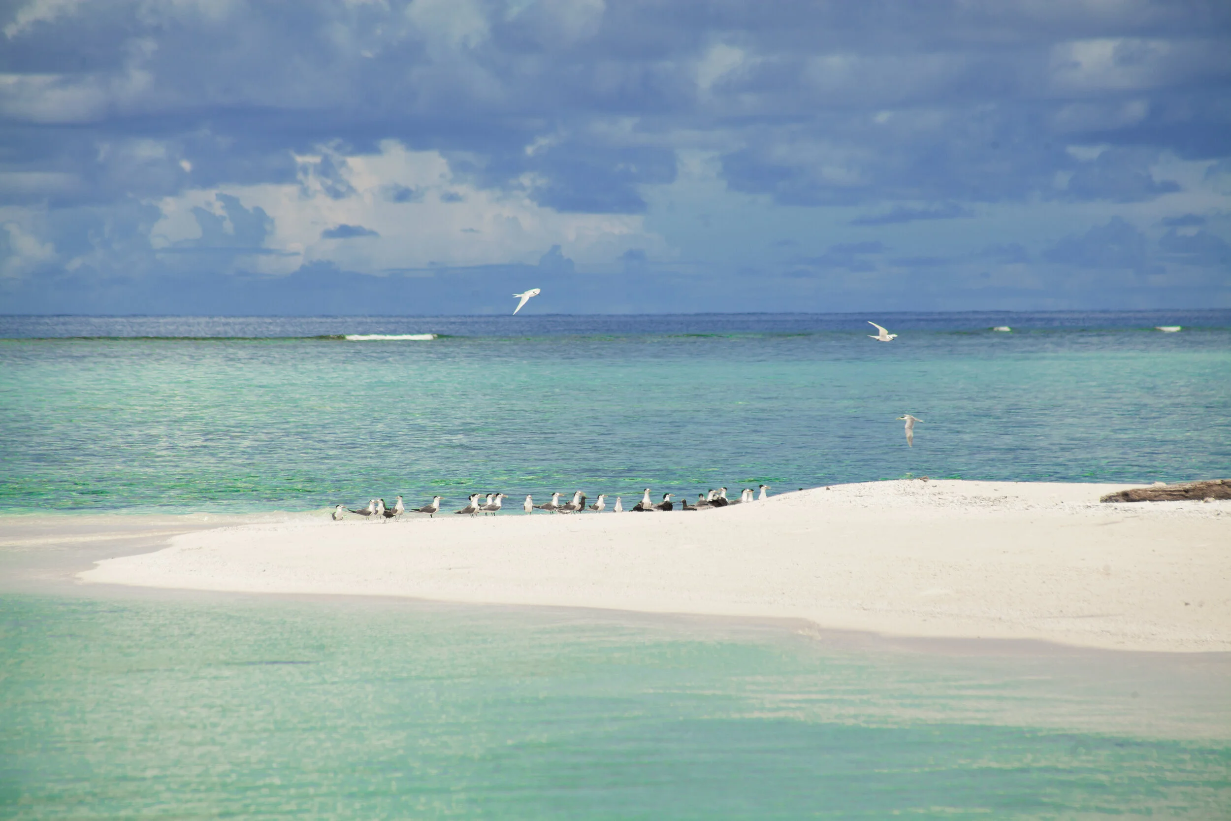 Fead Islands
