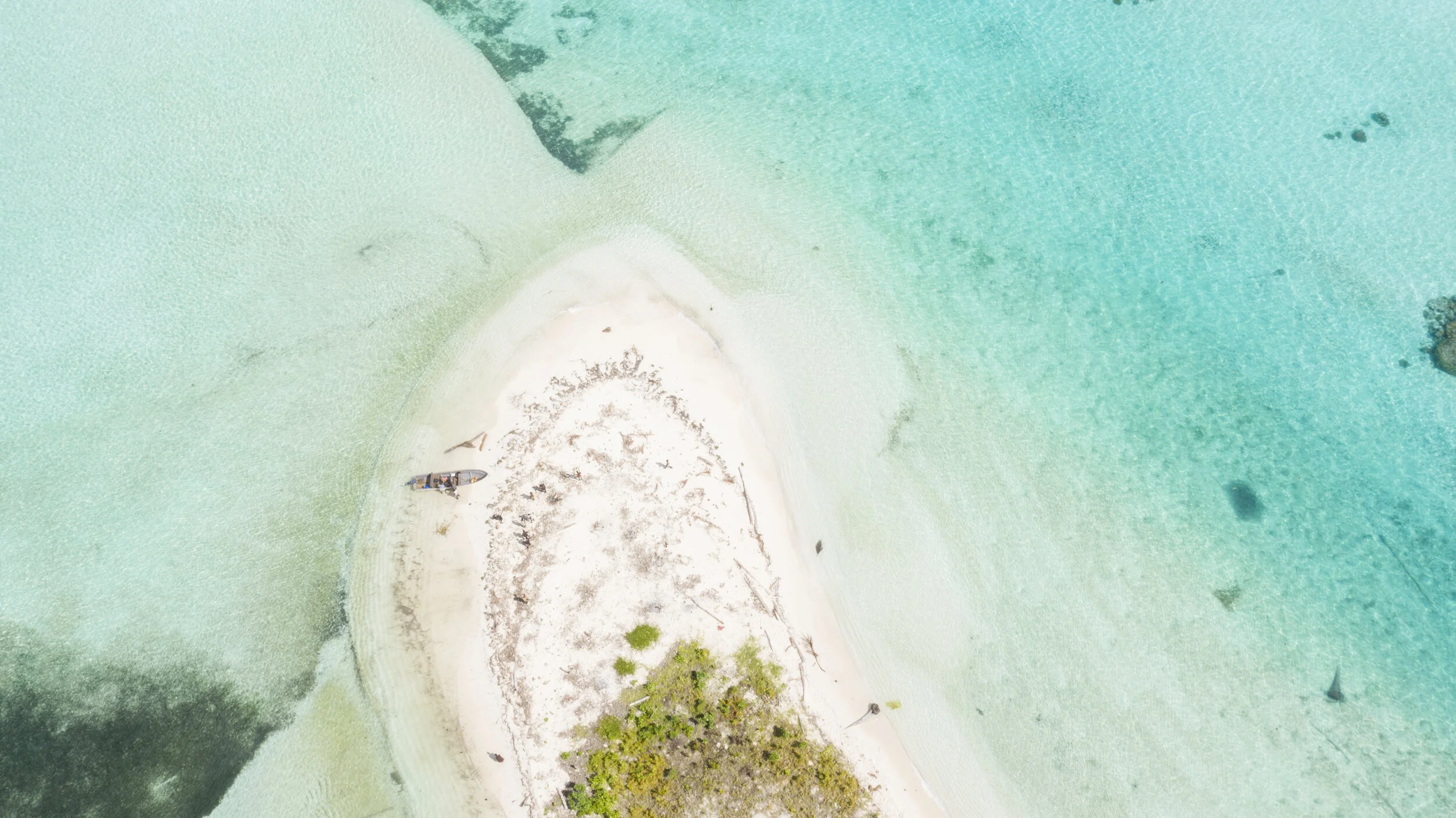 DJI_0002.JPG