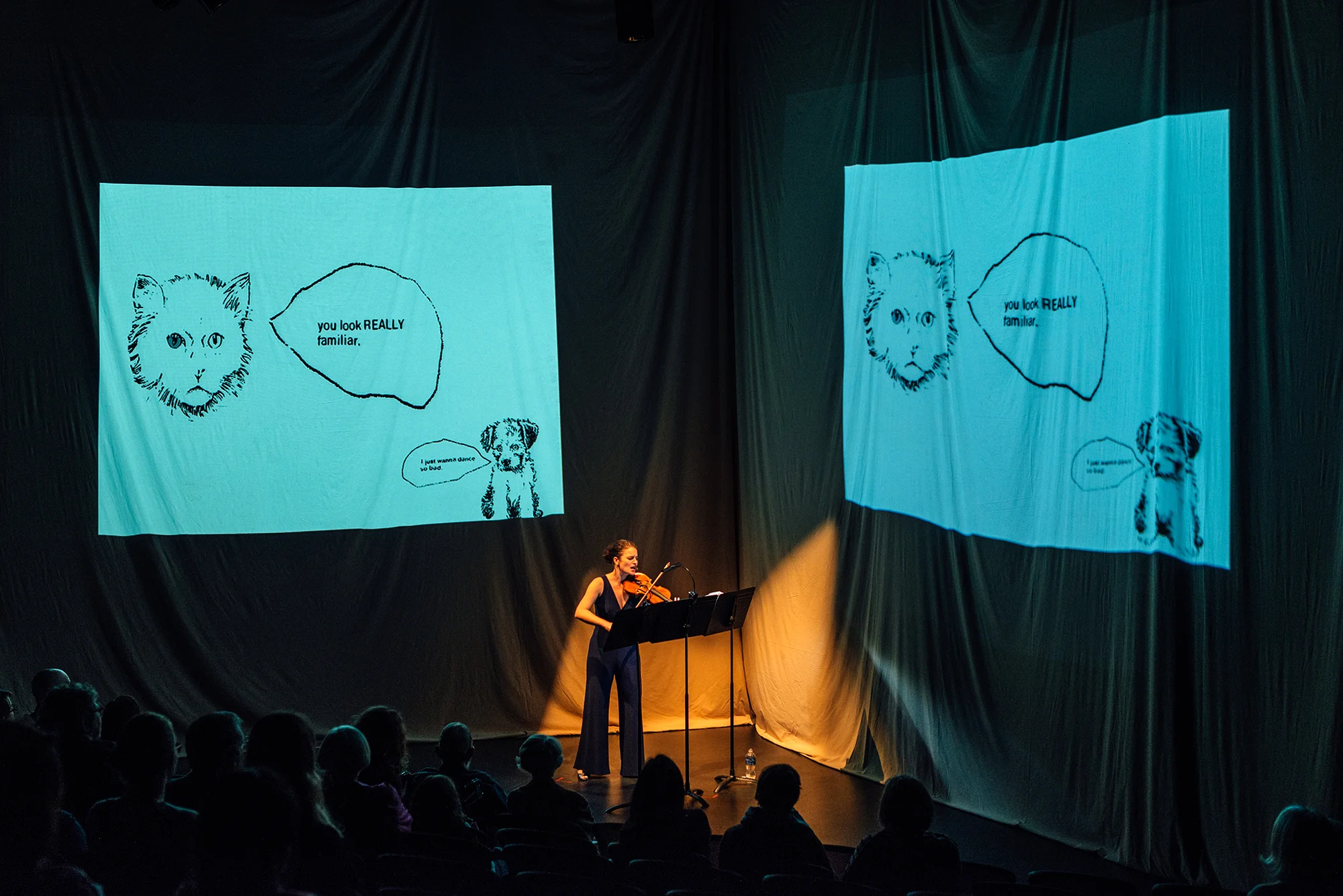 Performing Rodney LIster's "Explanatory Notes: The Only Difference Between" at the Lied Center in Lincoln, NE. Photo credit: Rana Young