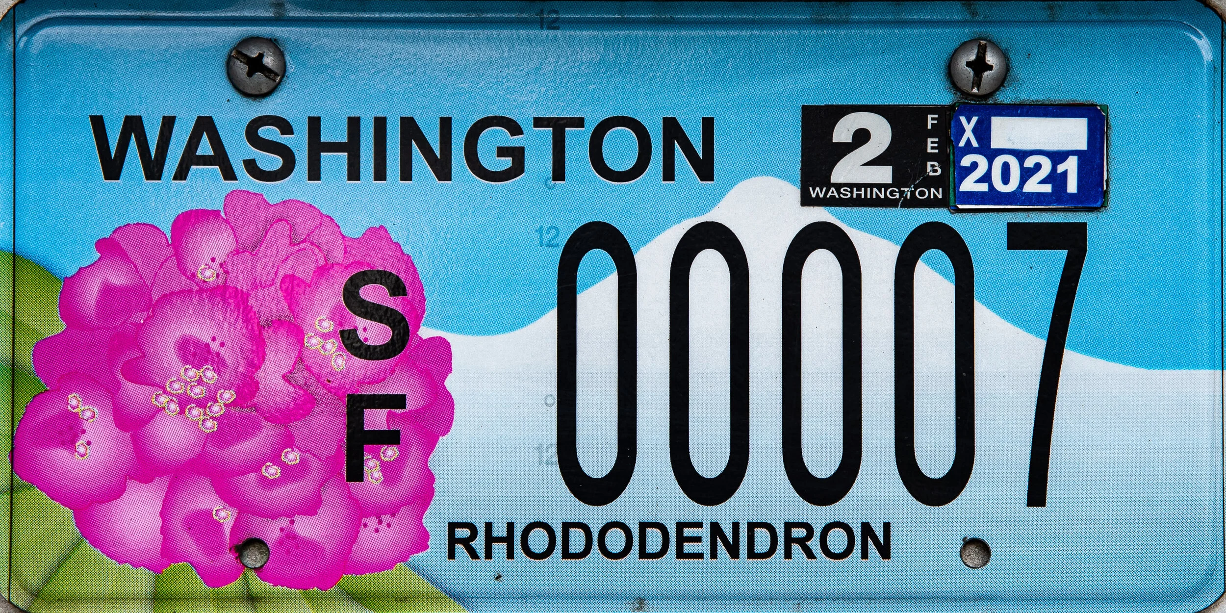 State Flower License Plate — Meerkerk Gardens