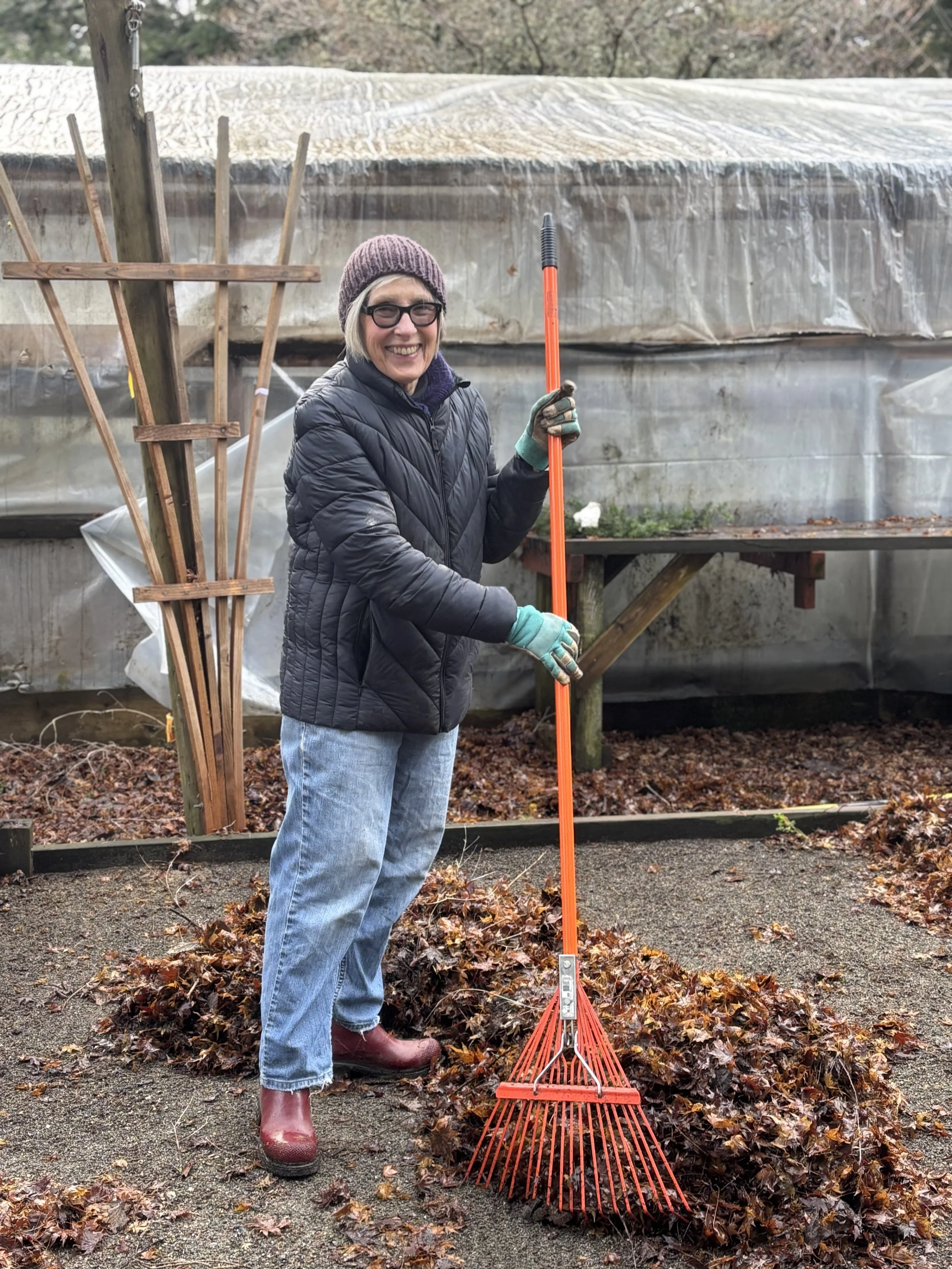 Marcia gets the nursery spic and span - Jan 2026.jpg