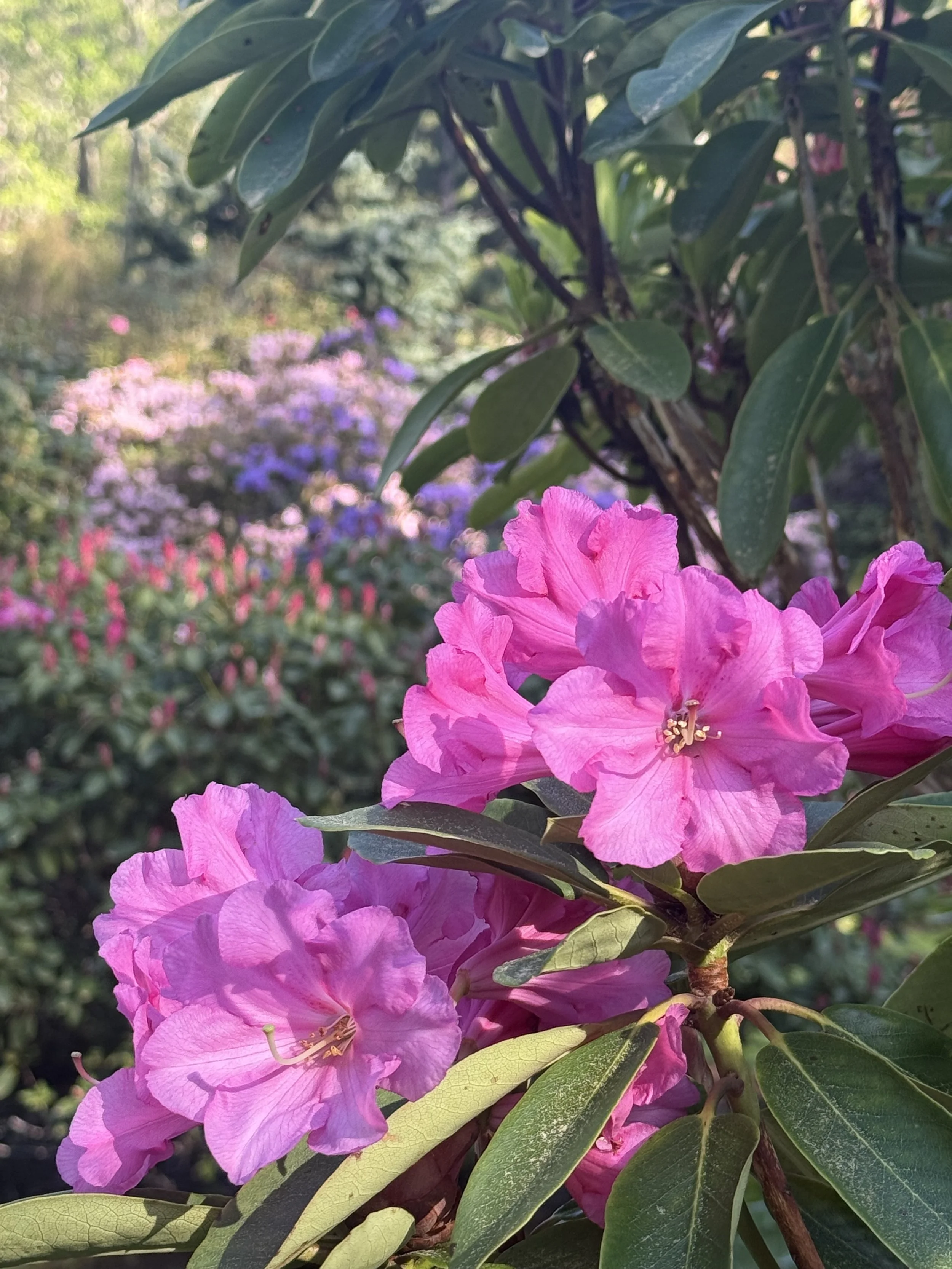 April Colors 2026.jpeg