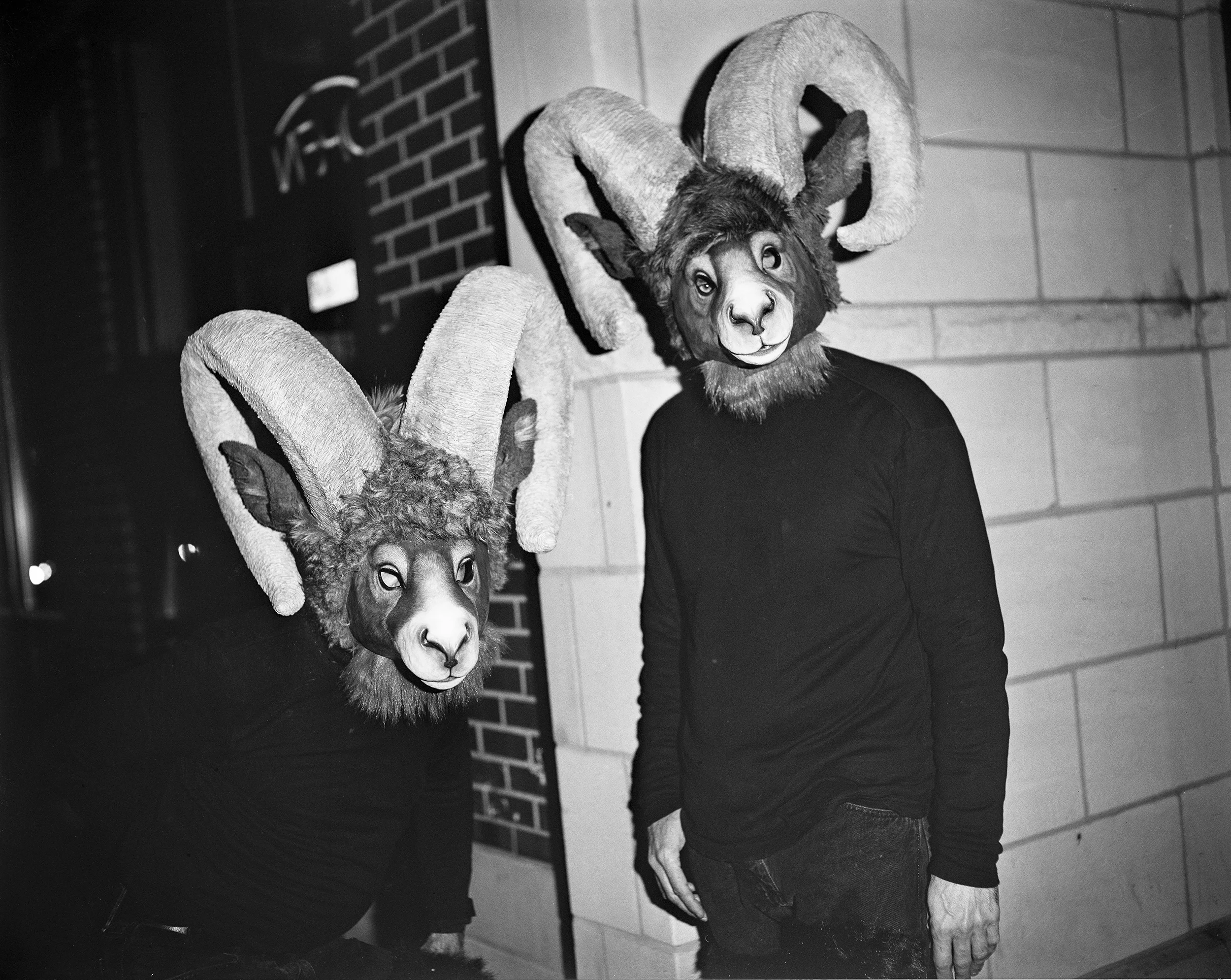 img002.jpg